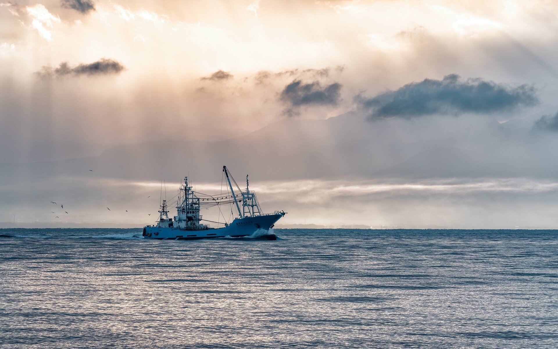 Stanford-backed platform aims to help migrant tuna fishers track pay