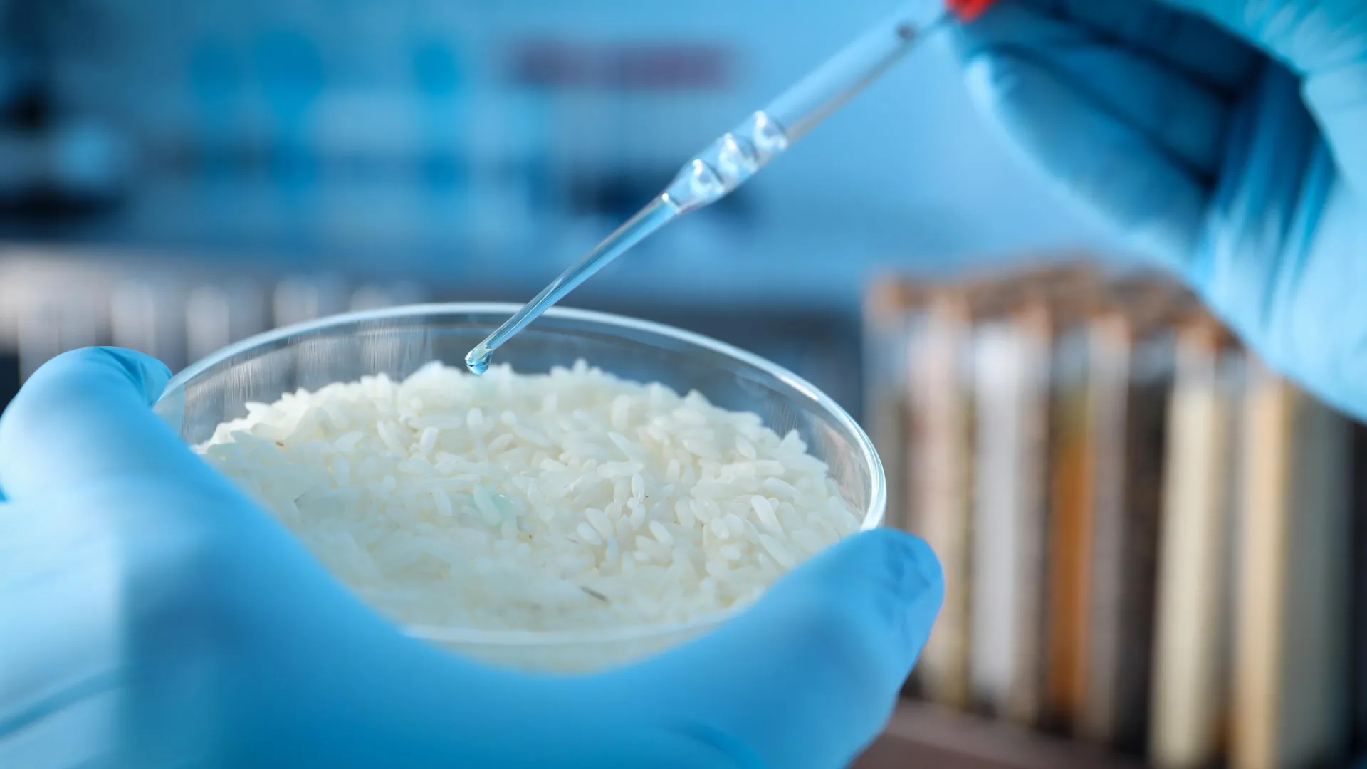 Rice grains inspire speed-sensitive material for robots and safety gear