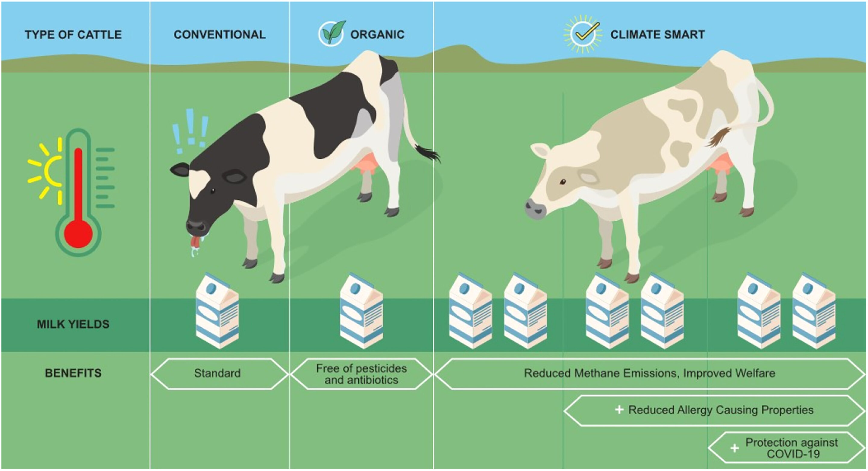 Study finds price and clear benefits may lift interest in gene-edited milk