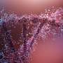 Study points to shared gene signals across six mental disorders