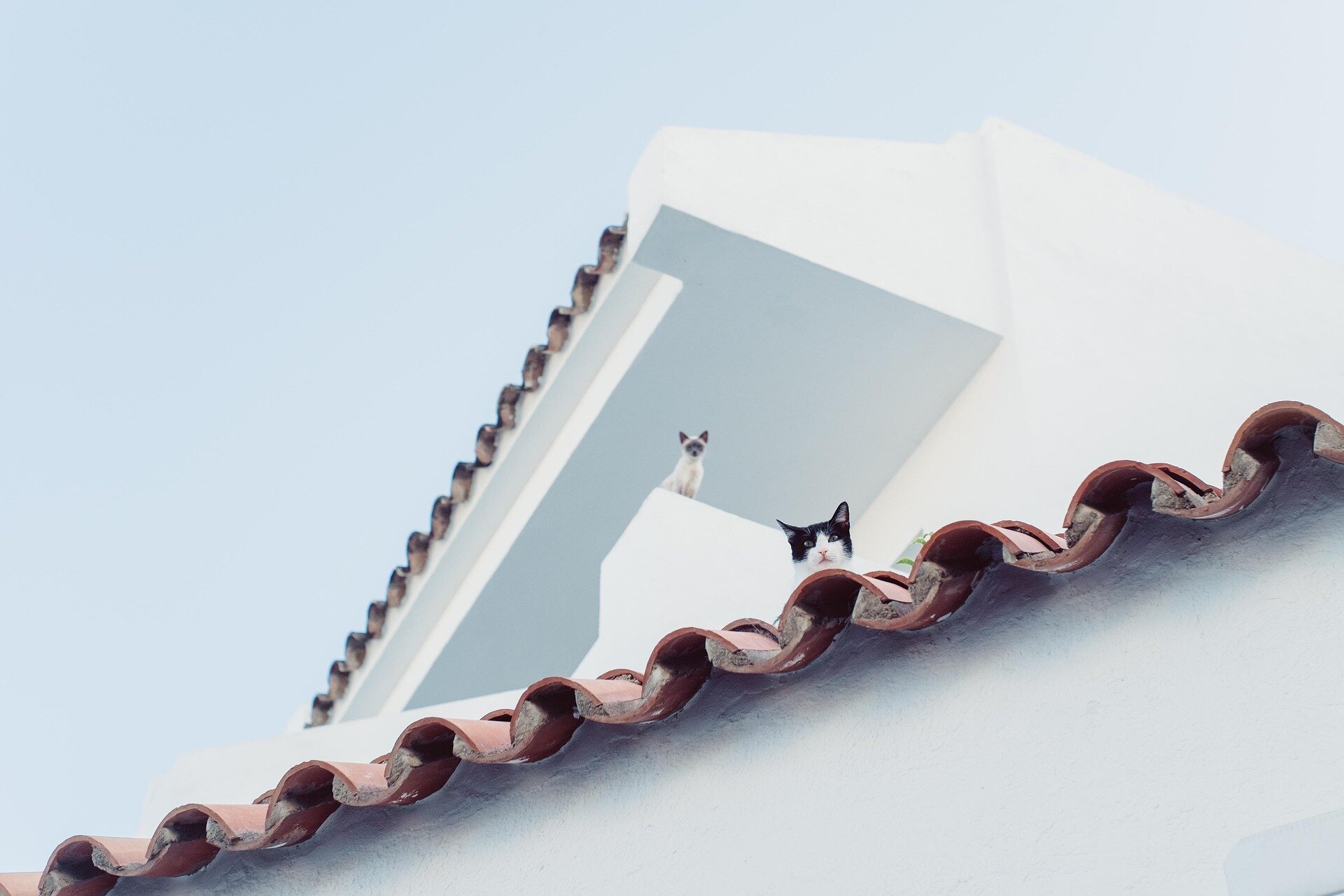 White roofs cool Barcelona heat zones but cannot erase warming risk