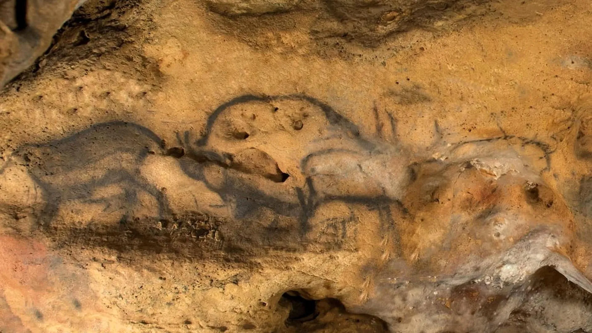 Font-de-Gaume cave paintings age set with hidden charcoal