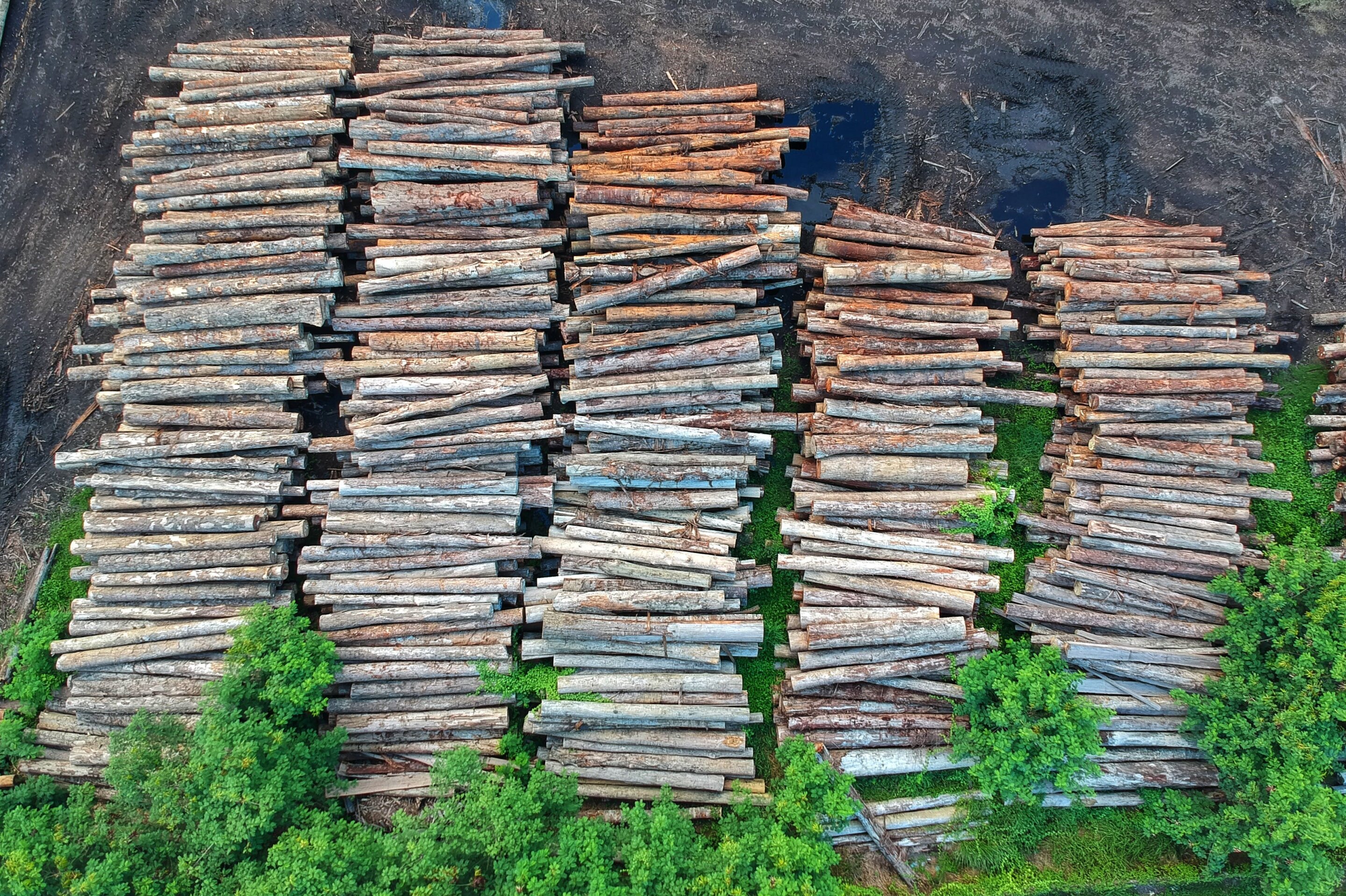 African mines linked to forest loss up to 20 km away