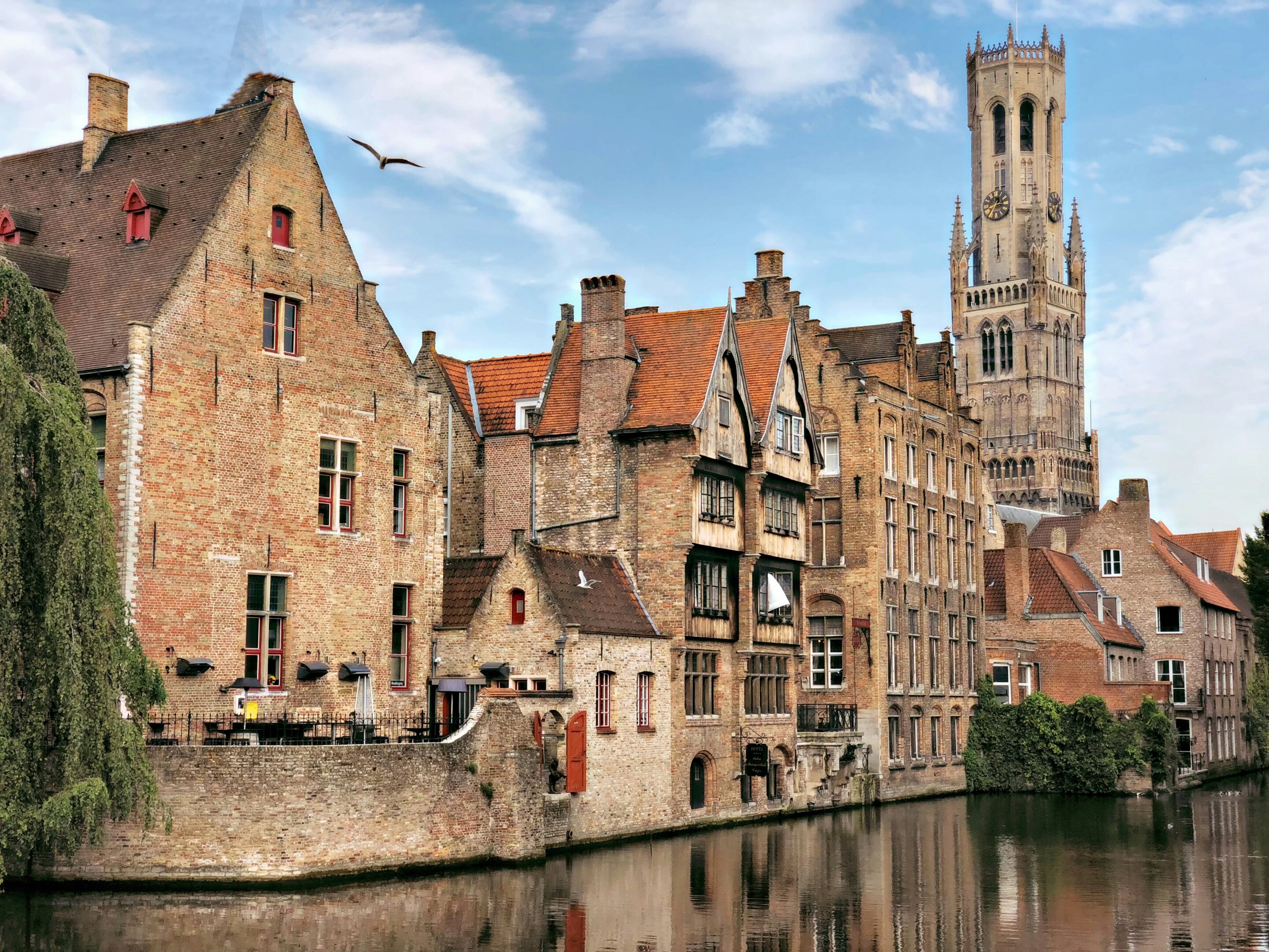 Medieval Ypres skeletons point to local roots and mobile women