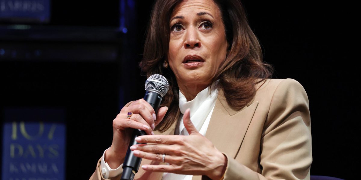 Harris describes nine-hour VP vetting and post-campaign emptiness