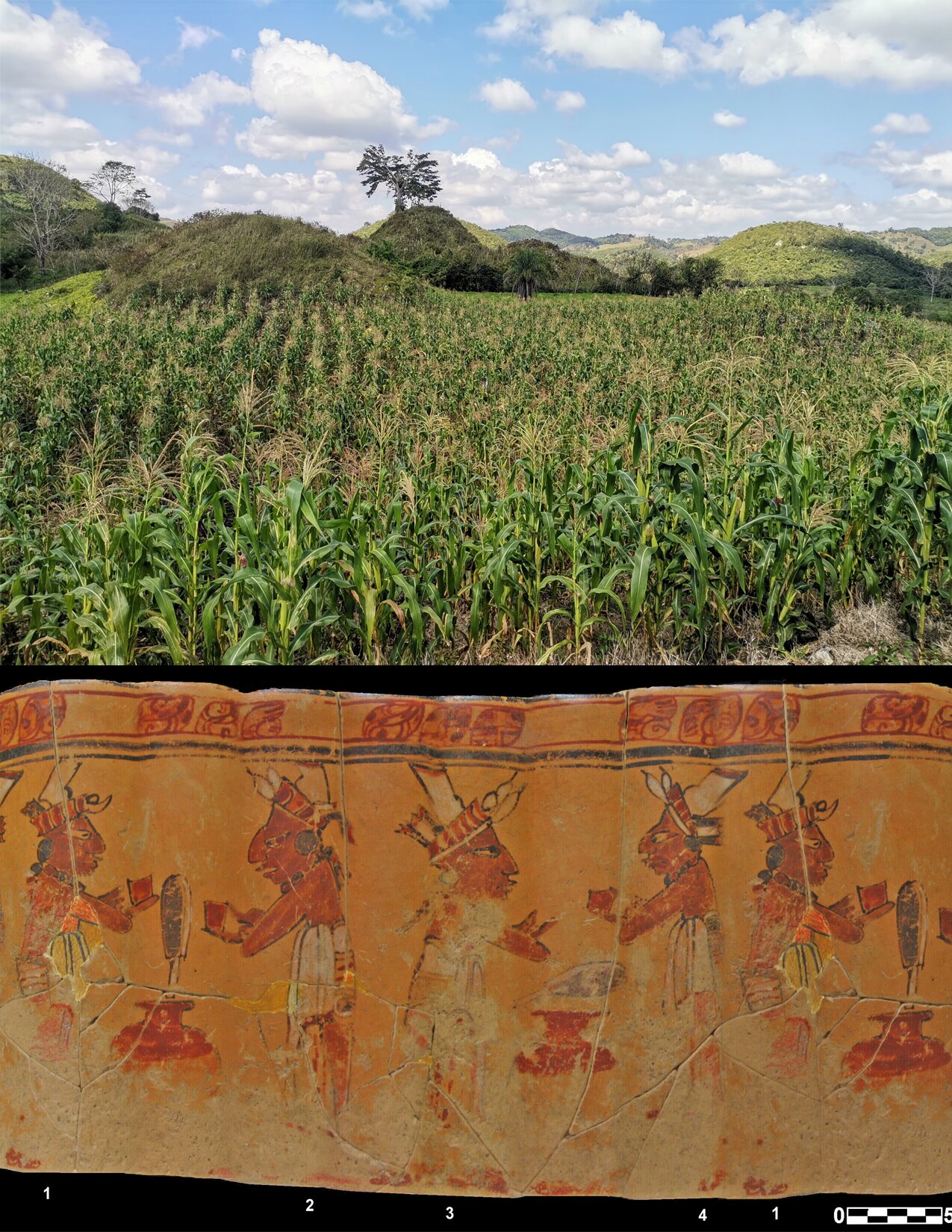 Ancient Maya maize diet study finds corn anchored smaller communities