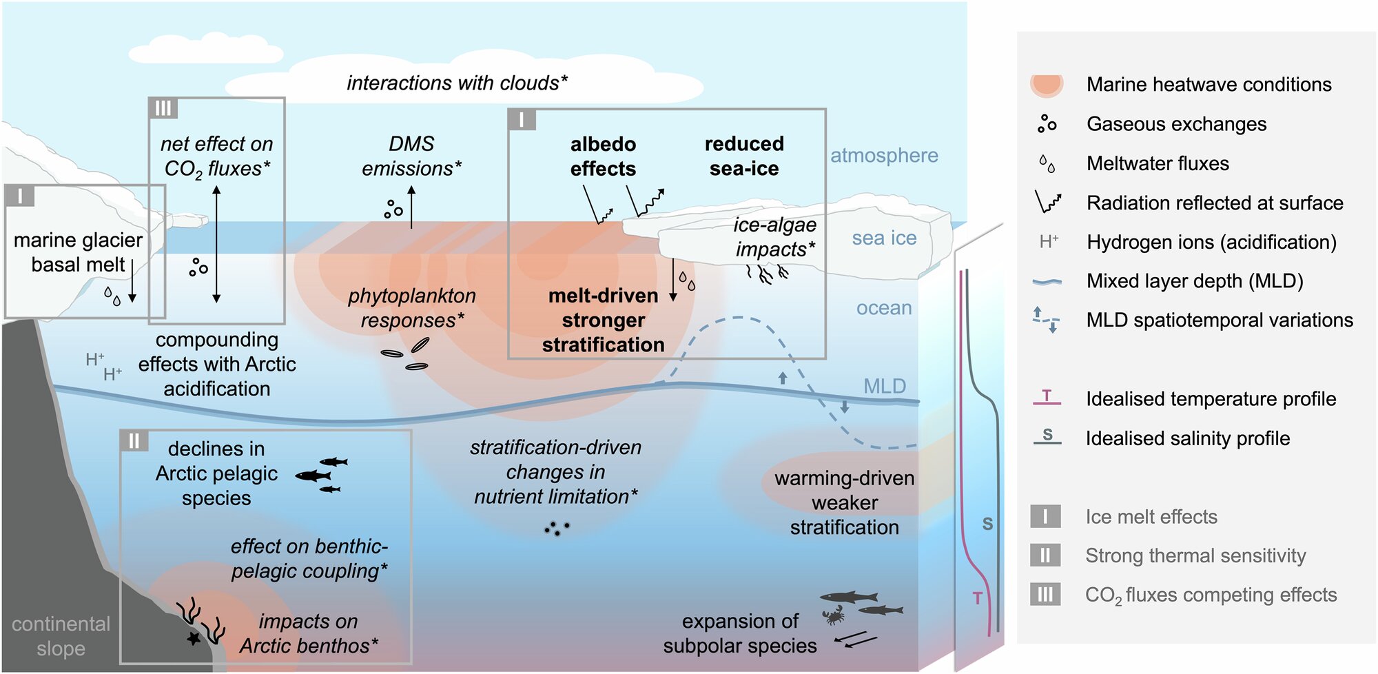 Arctic marine heat waves have intensified sharply since the 1980s