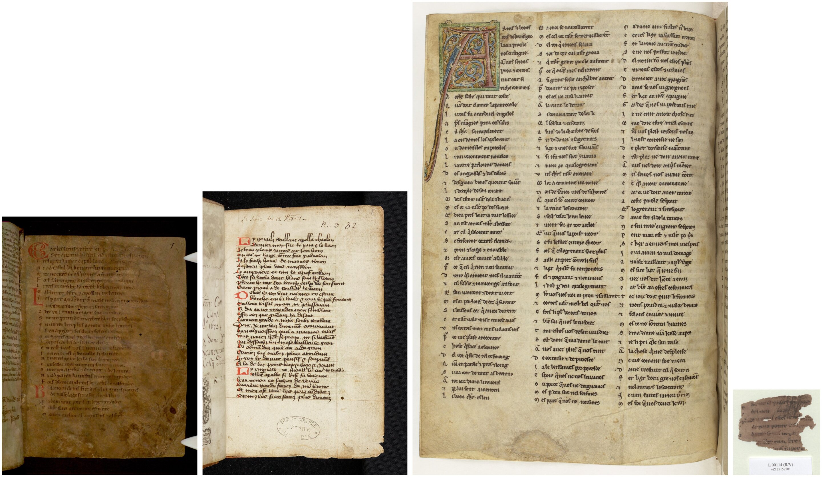 Model estimates most medieval chivalric manuscripts are lost