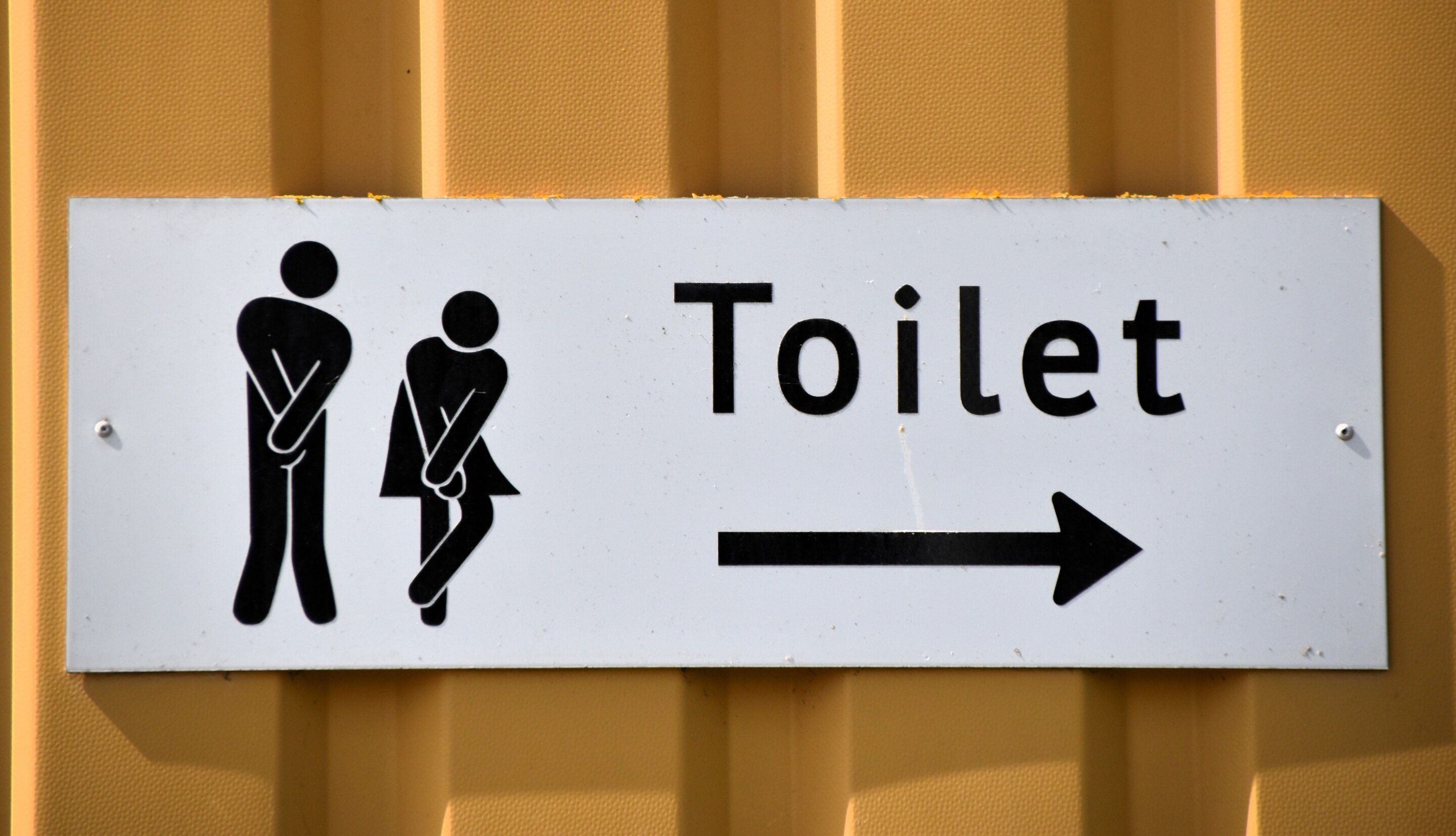 Bladder pain study points to cannabinoid receptors as treatment target