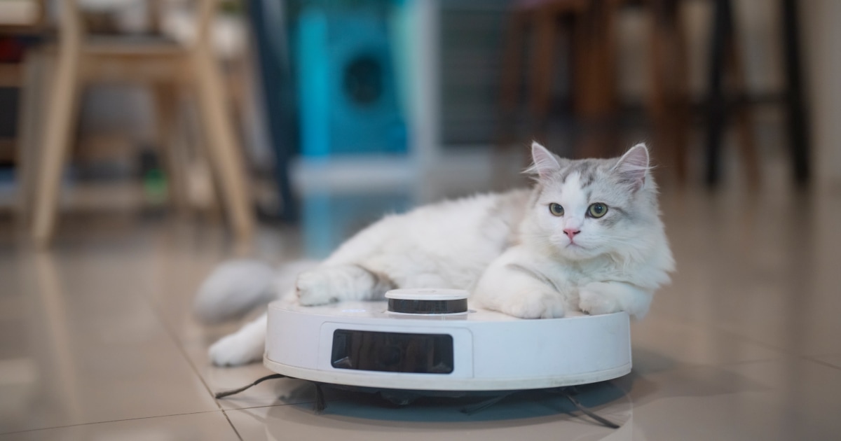 Pet-hair vacuum guide favors anti-tangle heads and attachments