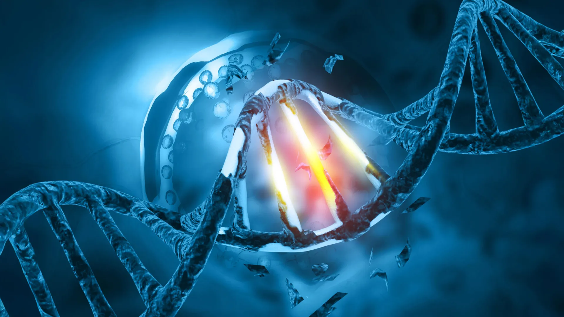 Single protein change may help bat coronaviruses adapt to humans