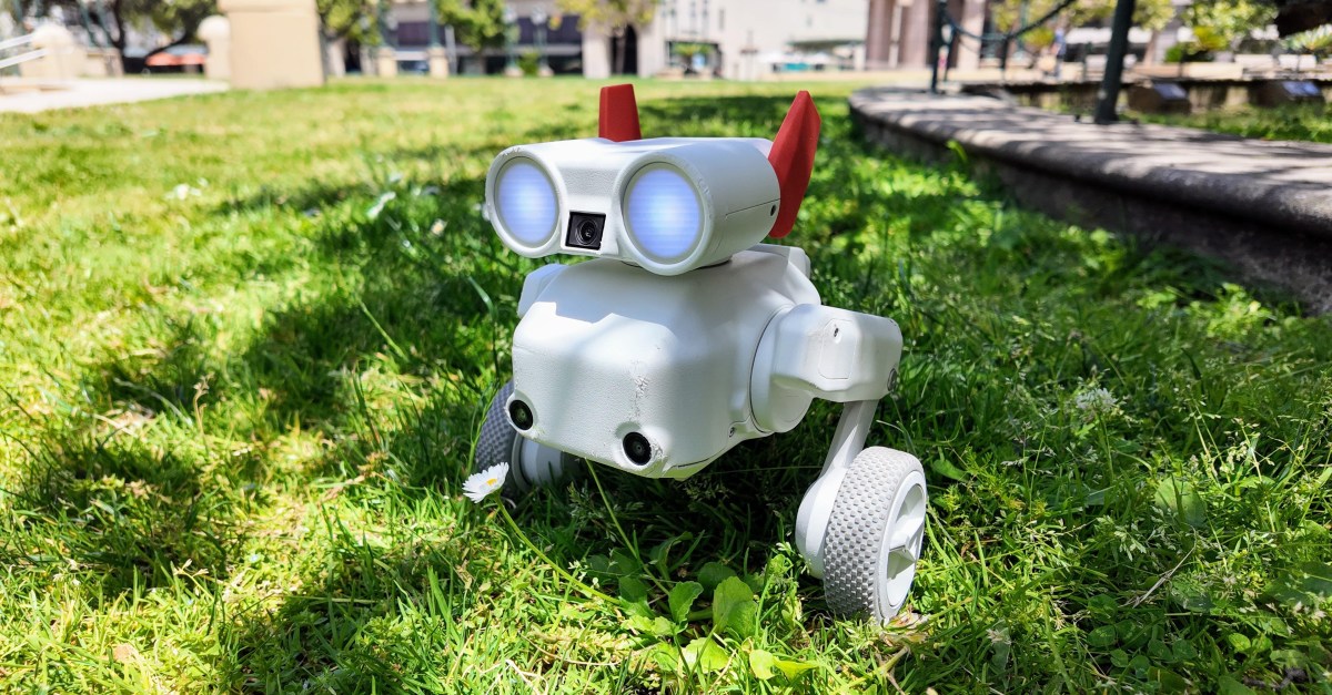 Mondo Robotics pitches Beni as an $800 robot camera dog