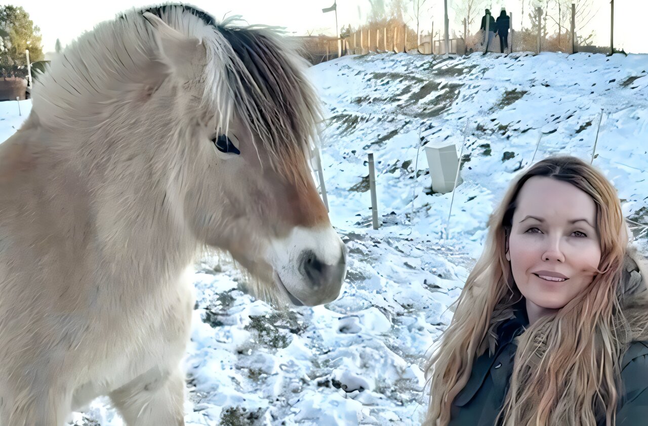 Horses may help therapists reduce burnout risk, study finds