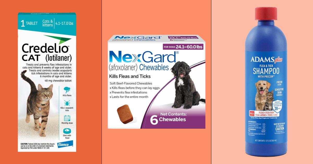 Veterinarians advise three-step plan for clearing fleas from pets and homes