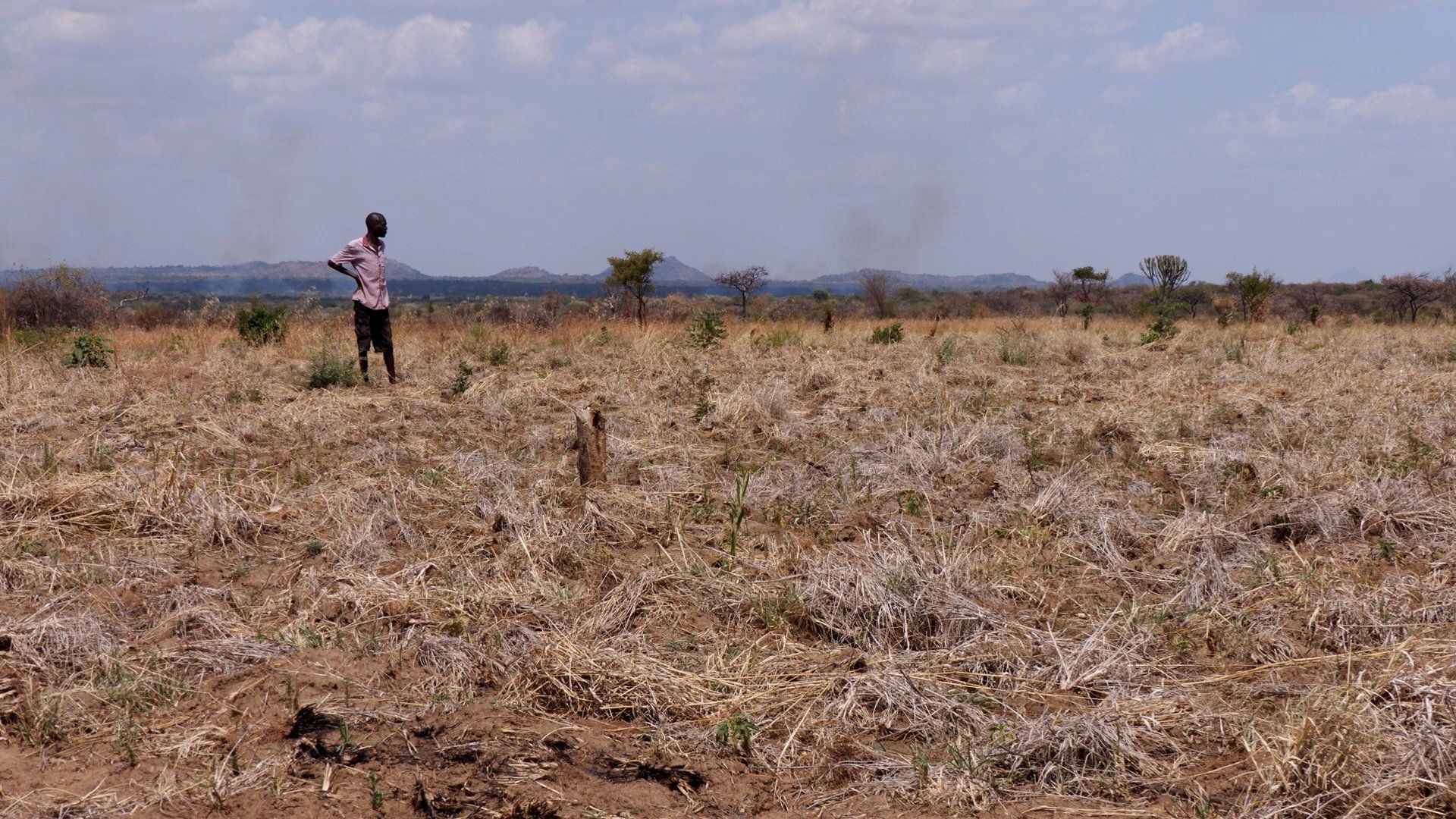 Drought-linked crop losses worsen Karamoja food crisis
