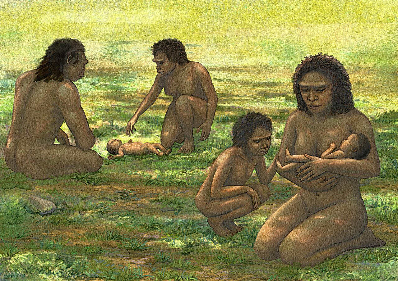 Homo erectus babies helpless like modern infants, skull study suggests