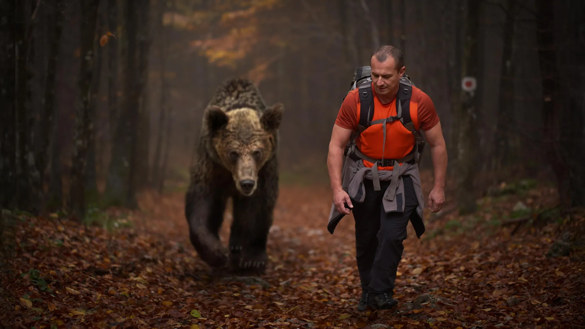 Wildlife fears hunters more than other humans, study finds
