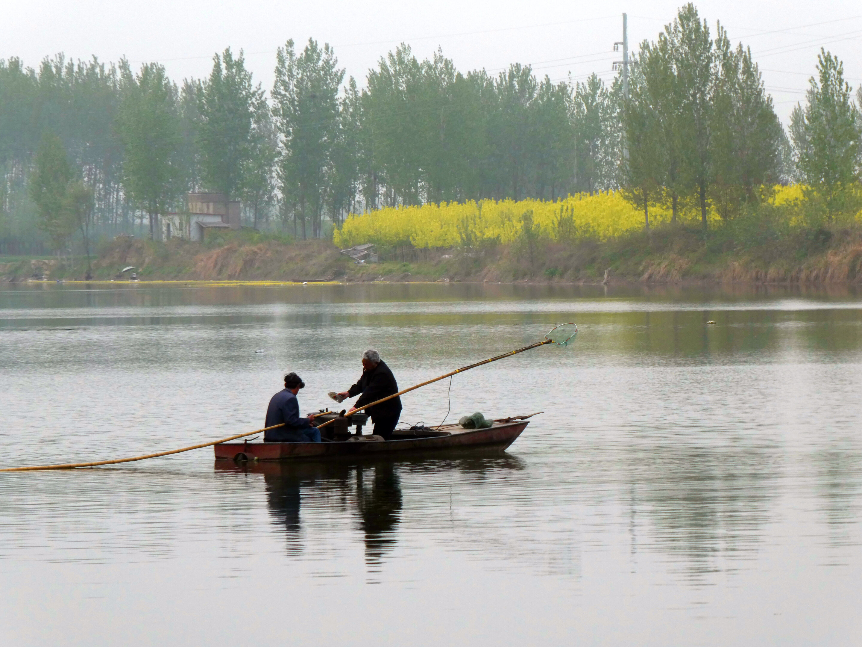 DNA survey links river fish diversity to climate and human pressure