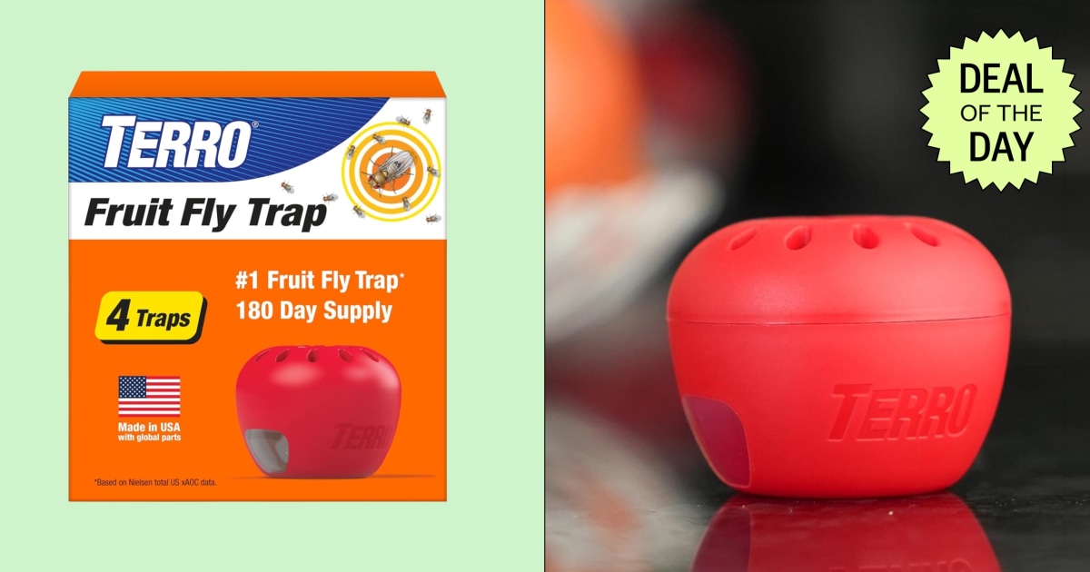 Terro fruit fly trap four-pack falls to $10.98 at Amazon