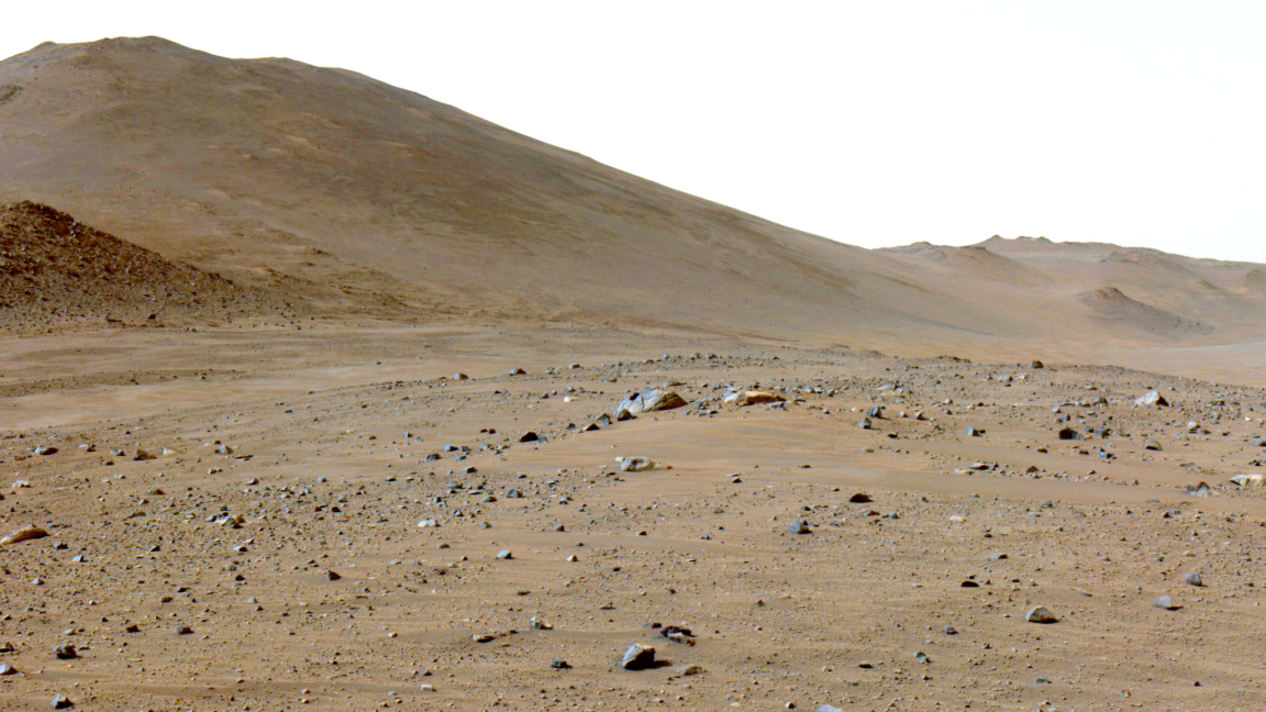 Perseverance finds surface carbon on Martian rocks