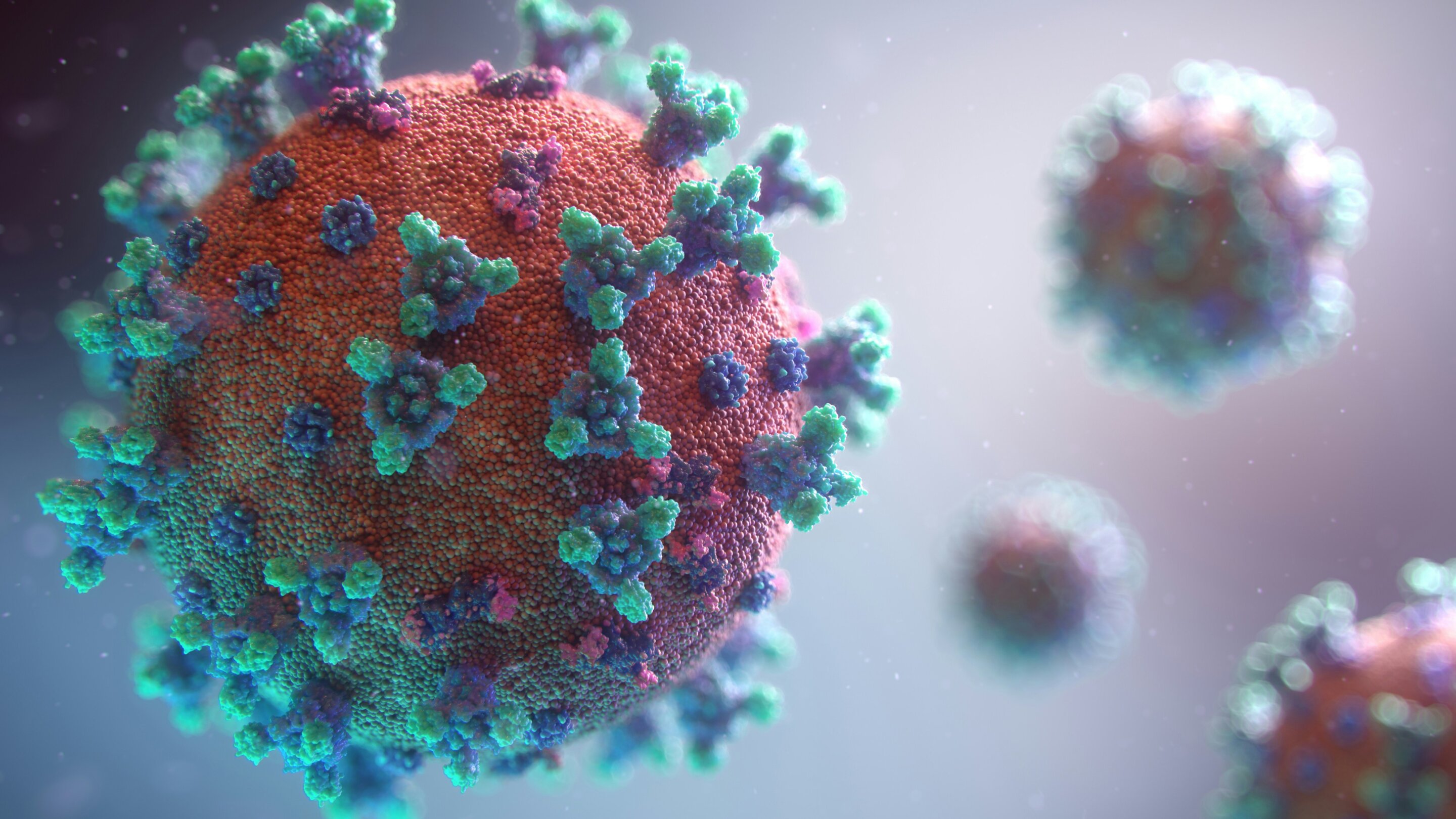 Remdesivir kidney transplant study links COVID treatment to lower risks