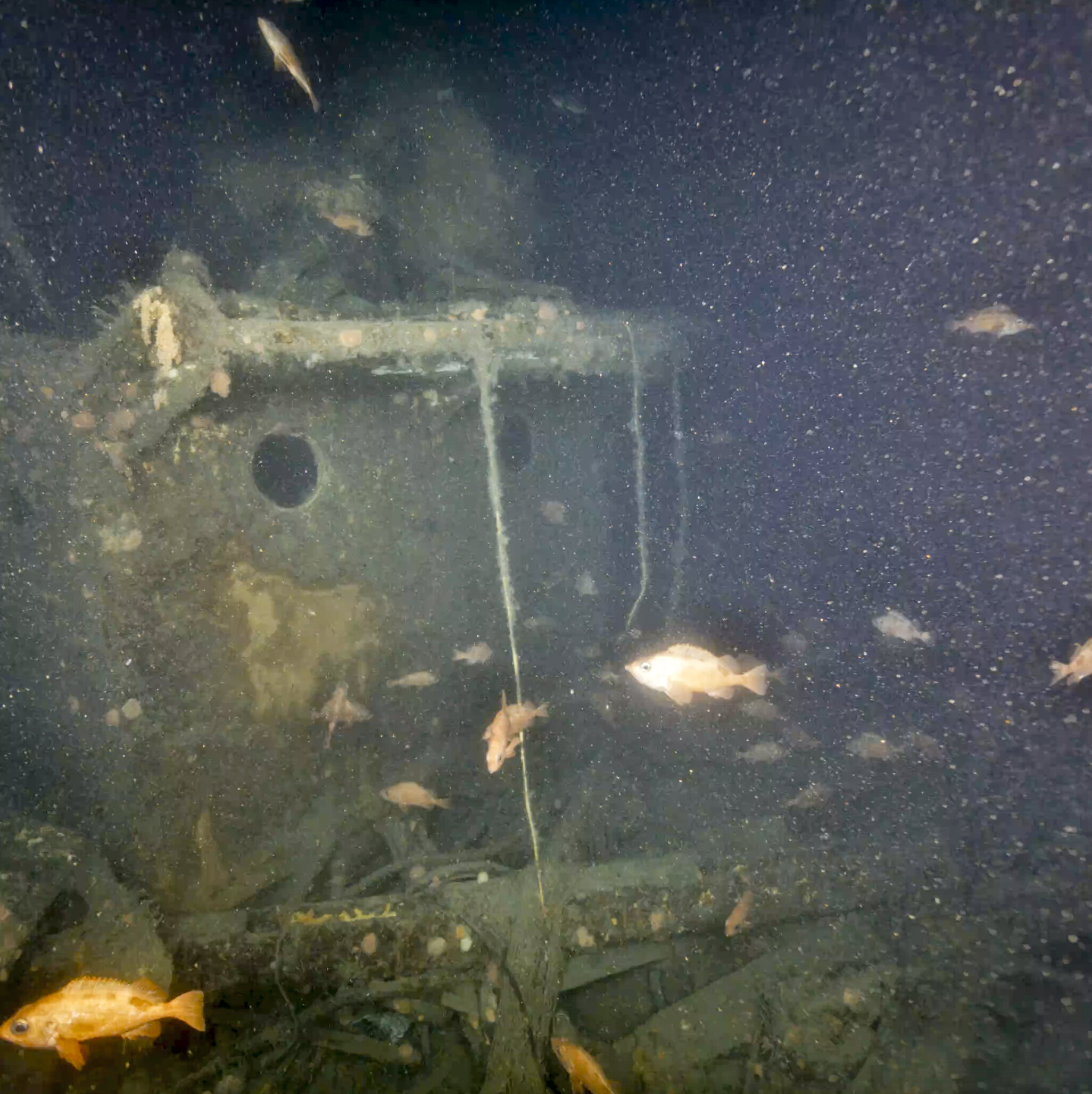 Expedition records first close-up images of Shackleton’s last ship