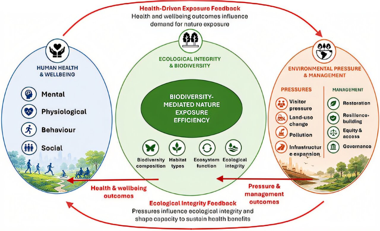 Researchers say nature prescribing should account for ecological quality