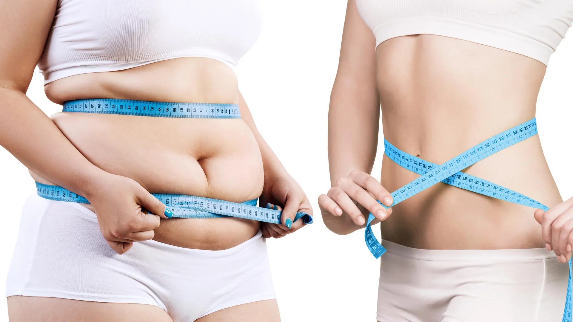 Protein tied to fat burning may point to new obesity research path