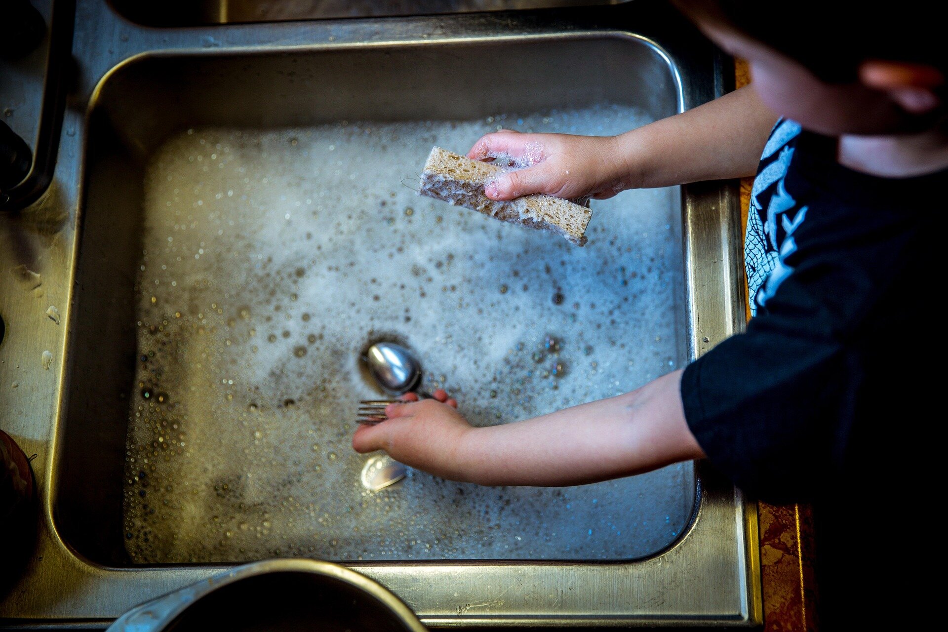 Kitchen sponge bacteria can survive for weeks, research finds