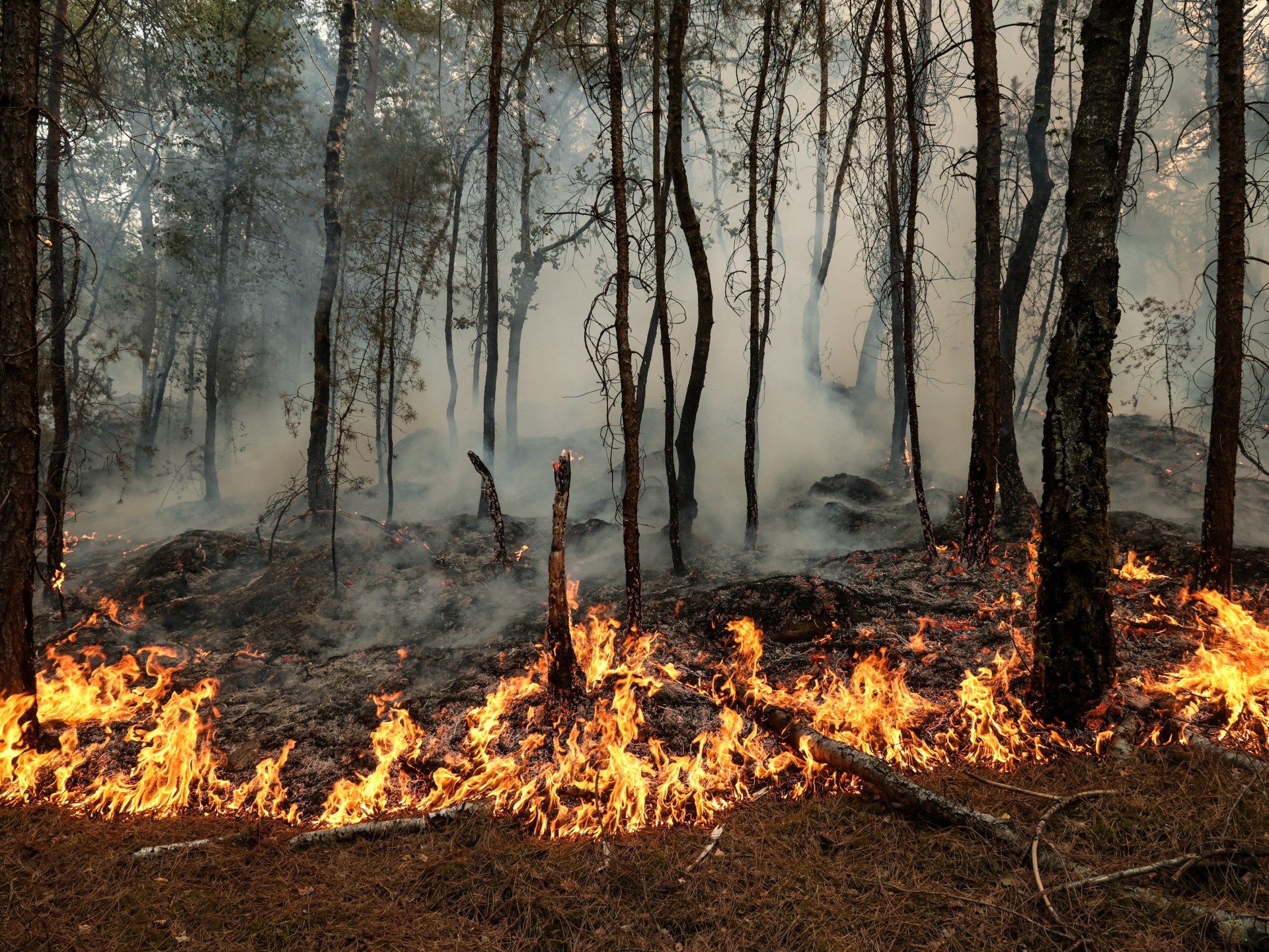 Wildfires burn more than 1,300 hectares south of Paris