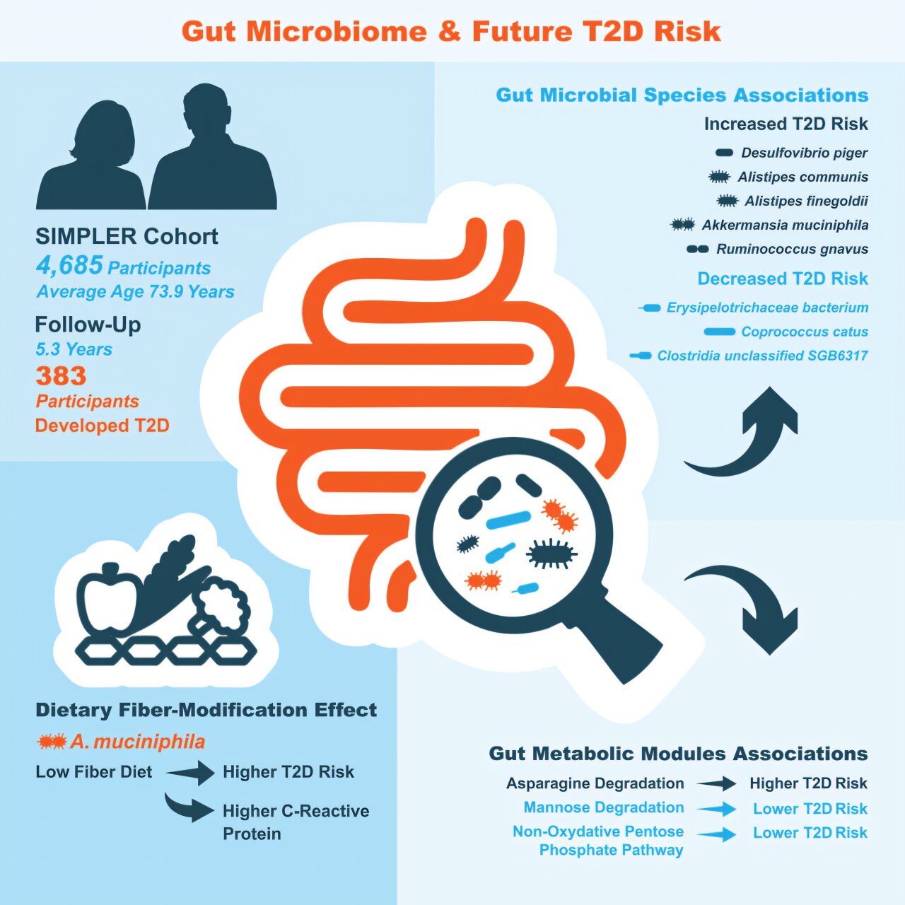 Gut bacteria patterns may flag diabetes risk years early