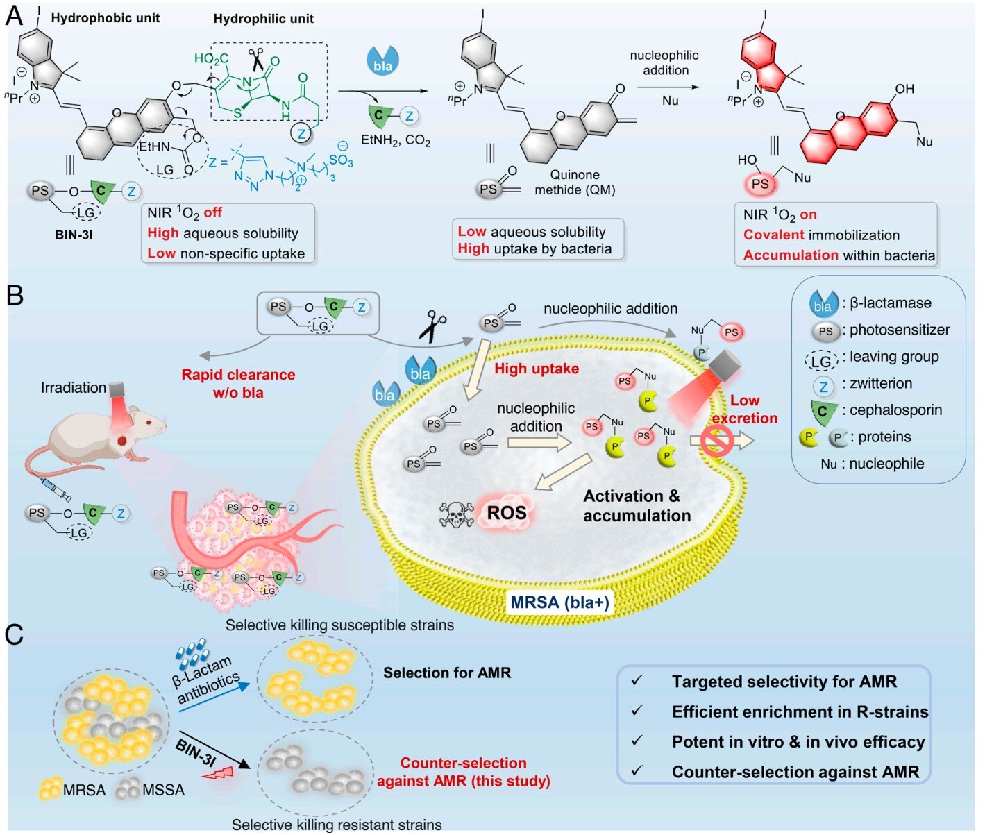 Light-activated drug candidate targets resistant MRSA enzyme