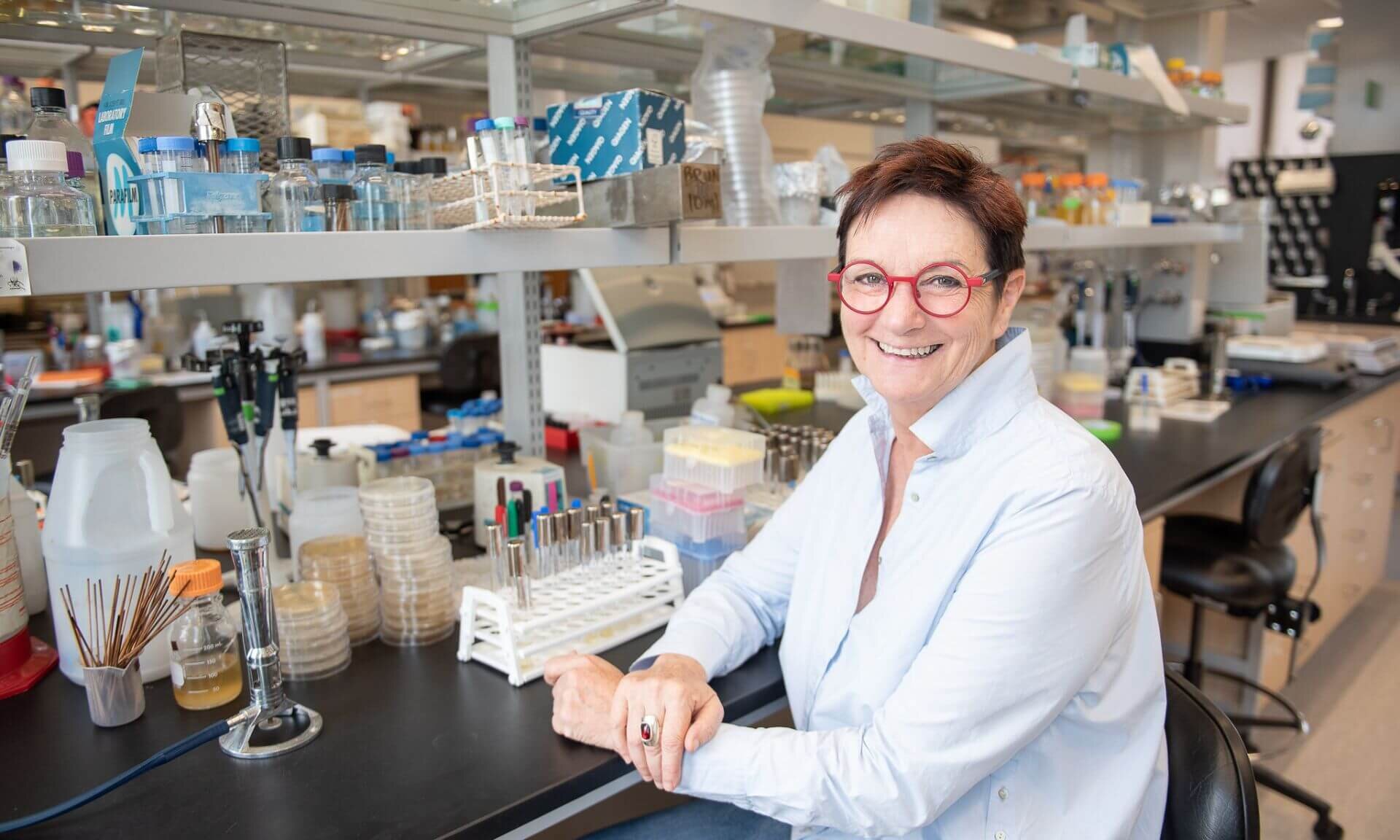 Oyster study finds stable marine viruses despite bacterial gene swapping