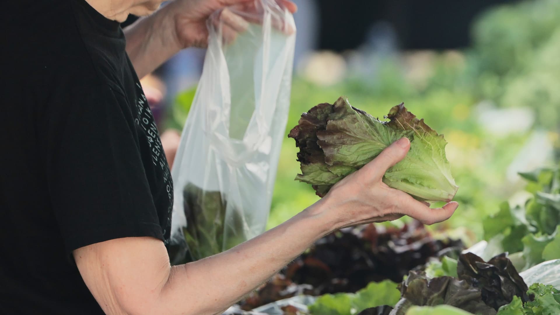 Cyclospora salad sales fall as recall fears reshape summer menus