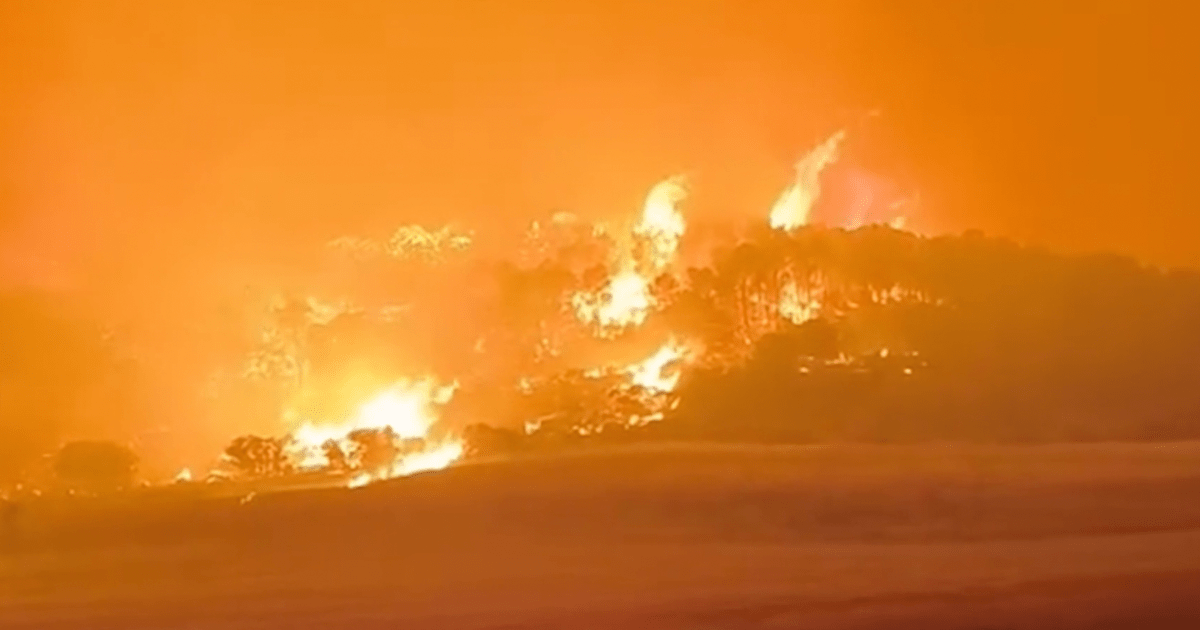 North Africa wildfires spread as heat and winds intensify