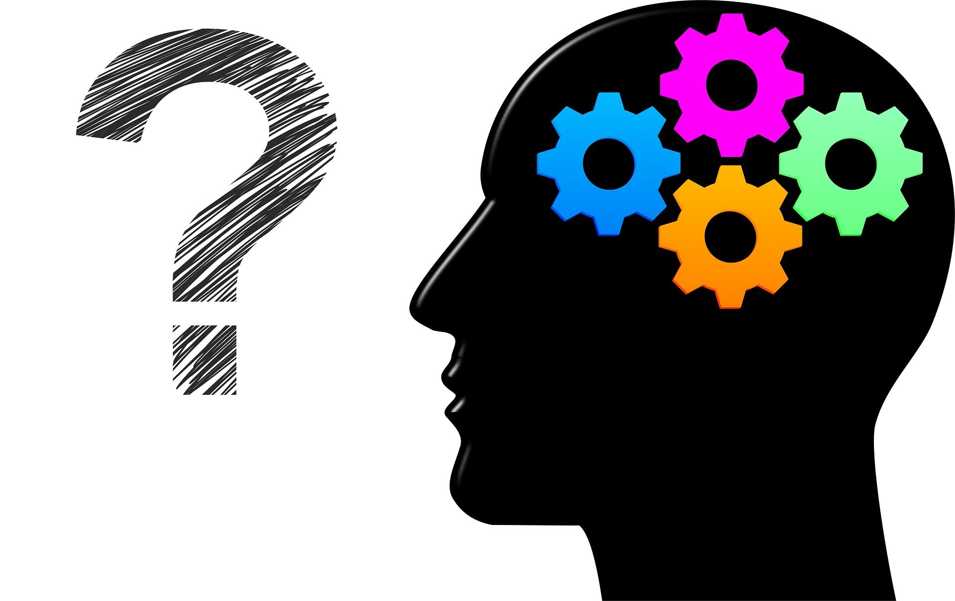 Working memory distractions study shows rapid priority shifts