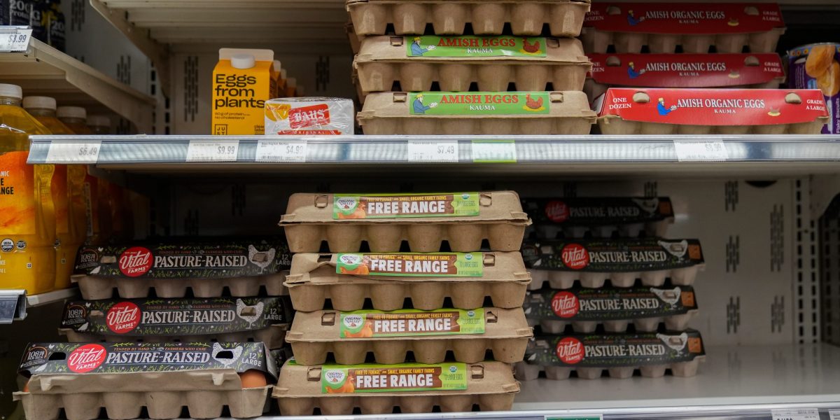Egg producers settle price-fixing claims with cash and donated eggs