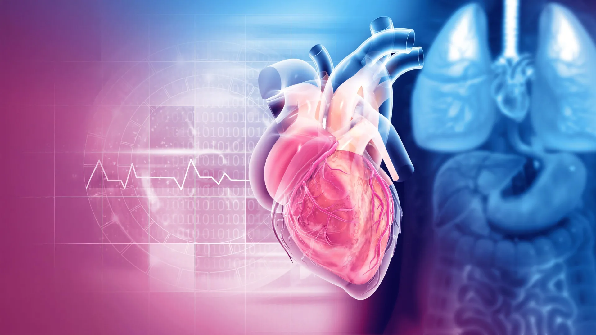 Serotonin pathway tied to faster damage in some leaky heart valves