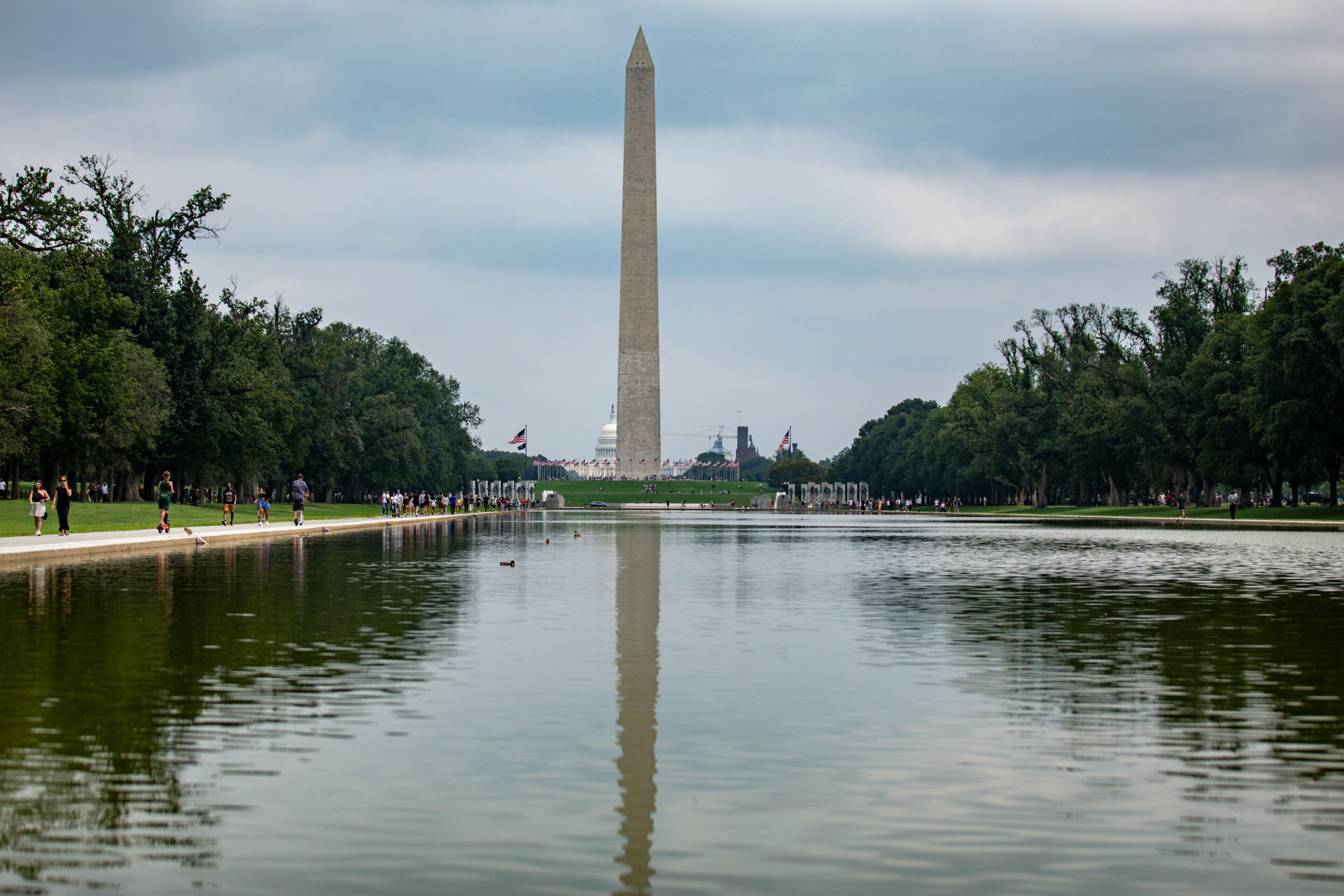 Nanobubbles deployed against algae in Lincoln Memorial pool
