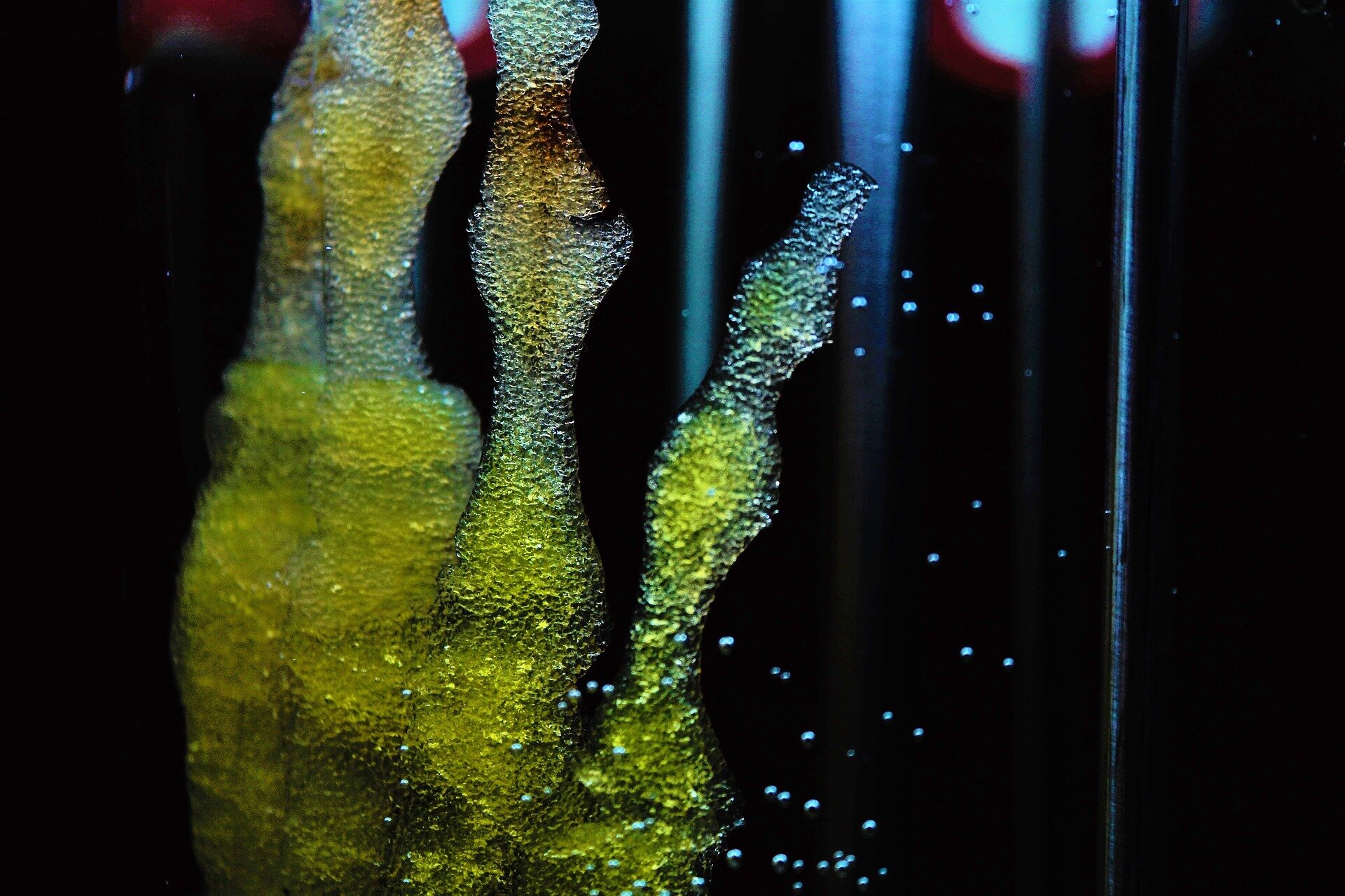 Edited stem cells may point to less toxic bone marrow transplants