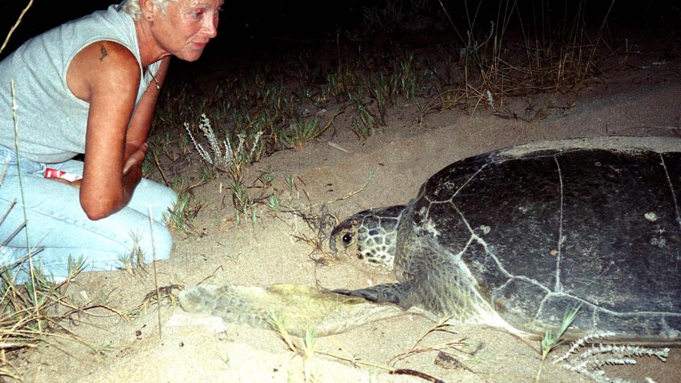 Lebanese turtle conservationist dies after strike on coastal home