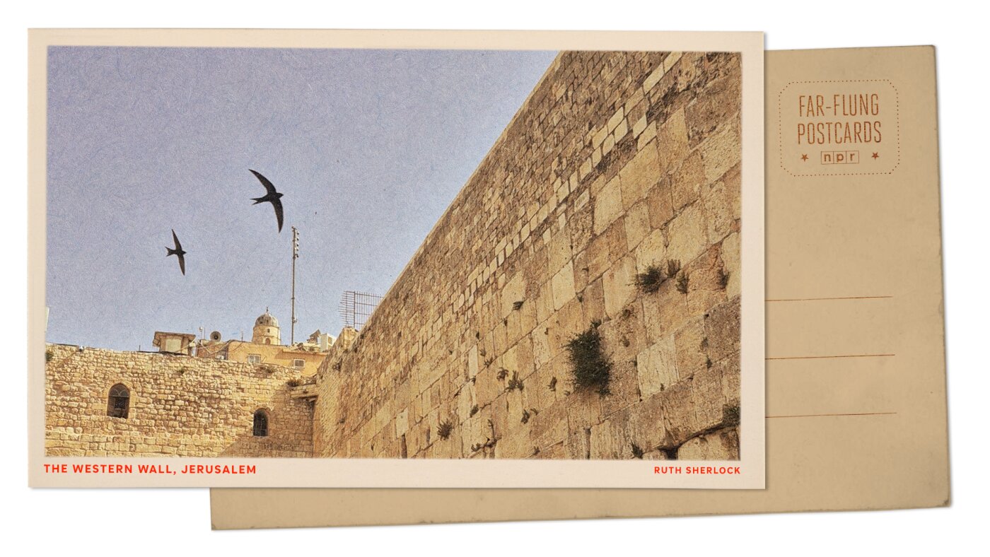 Jerusalem holy sites shelter ancient swift nesting colonies