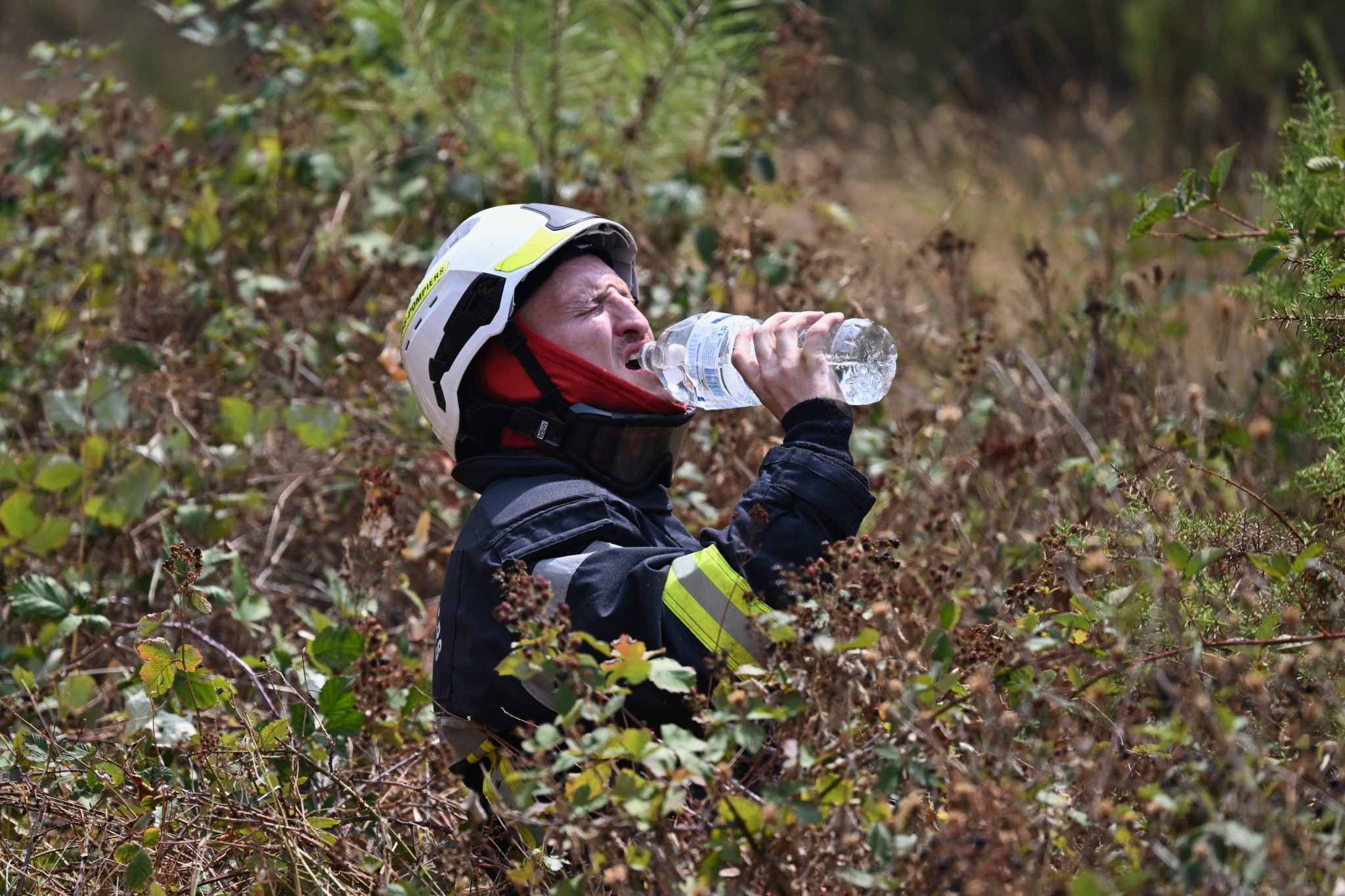 Bordeaux wildfire evacuations widen as flames move toward city