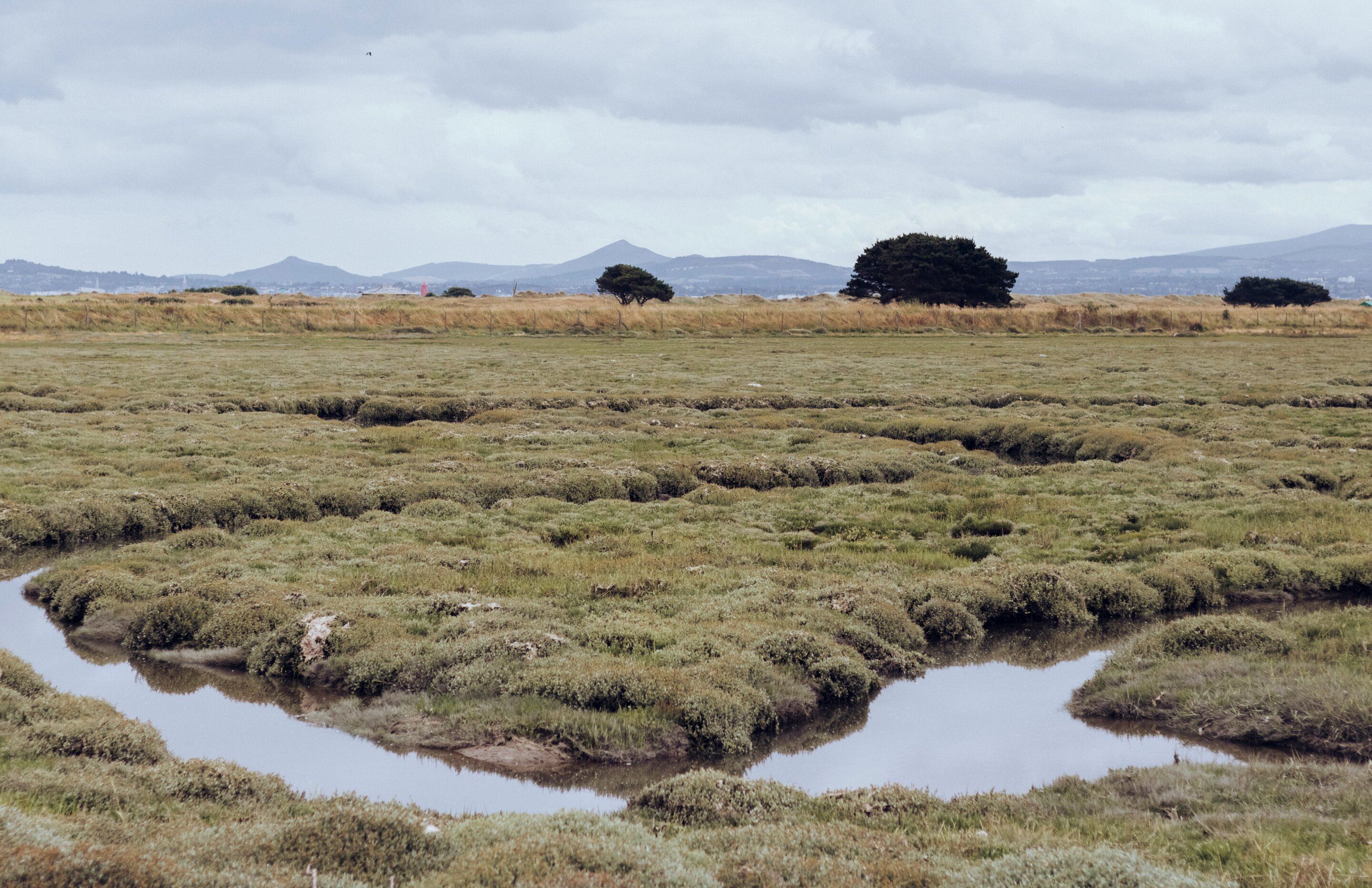 Australia peat fires can protect some wetlands when controlled