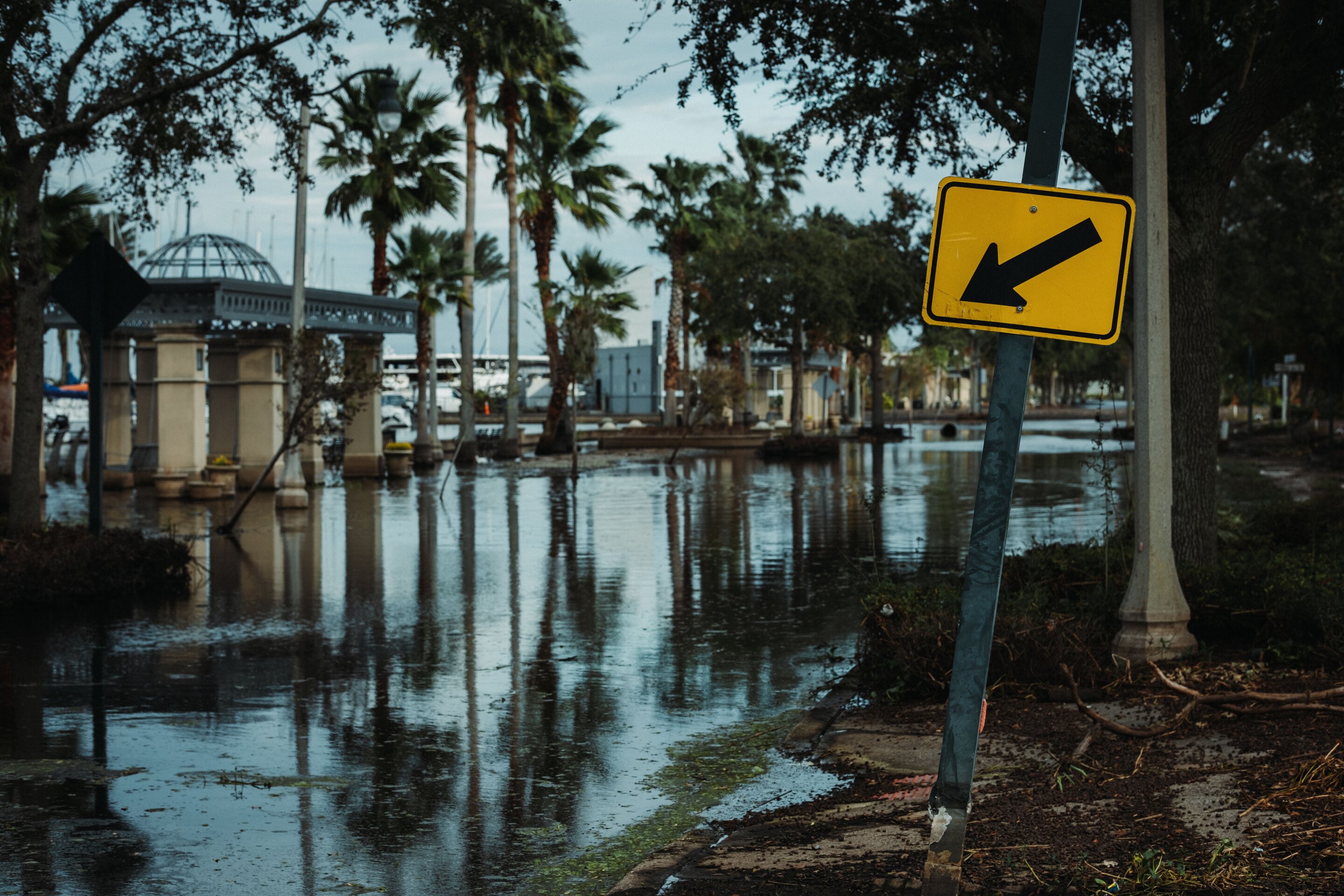 Miami-Dade climate plans need better coordination, study finds