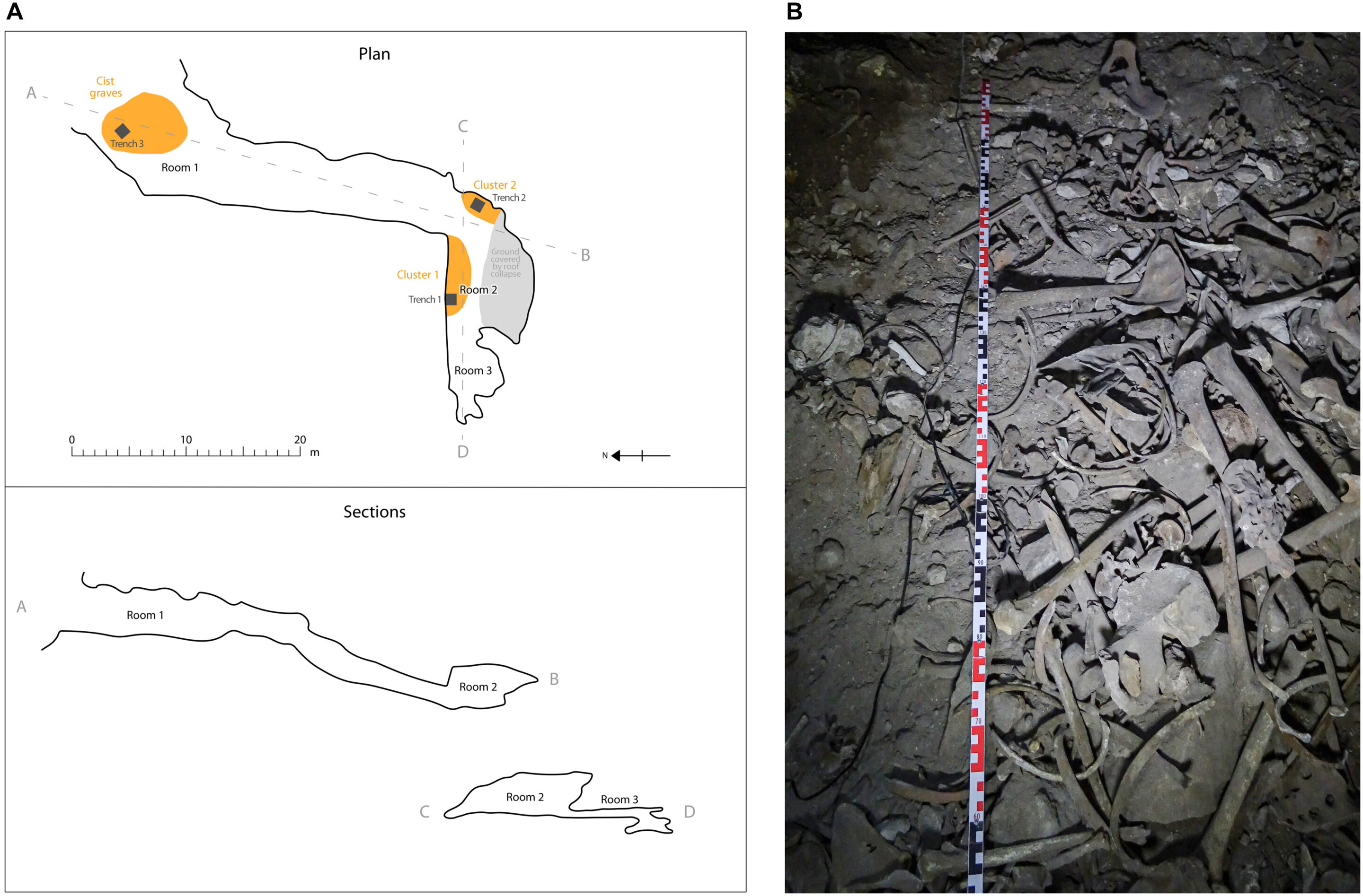 Ladakh ancient DNA reveals a lost Himalayan population