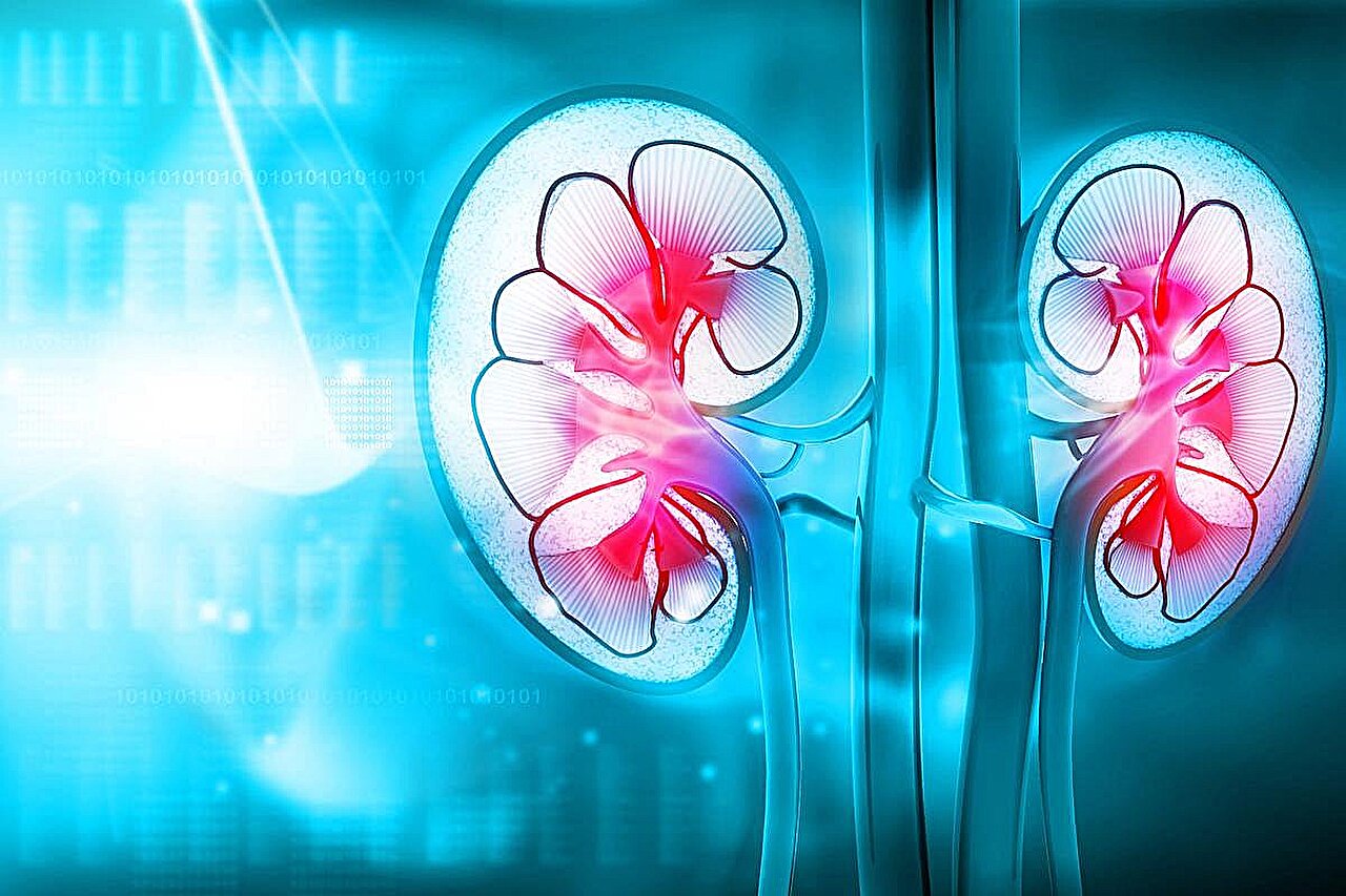 Lupus patients without nephritis still face higher kidney risk, study finds