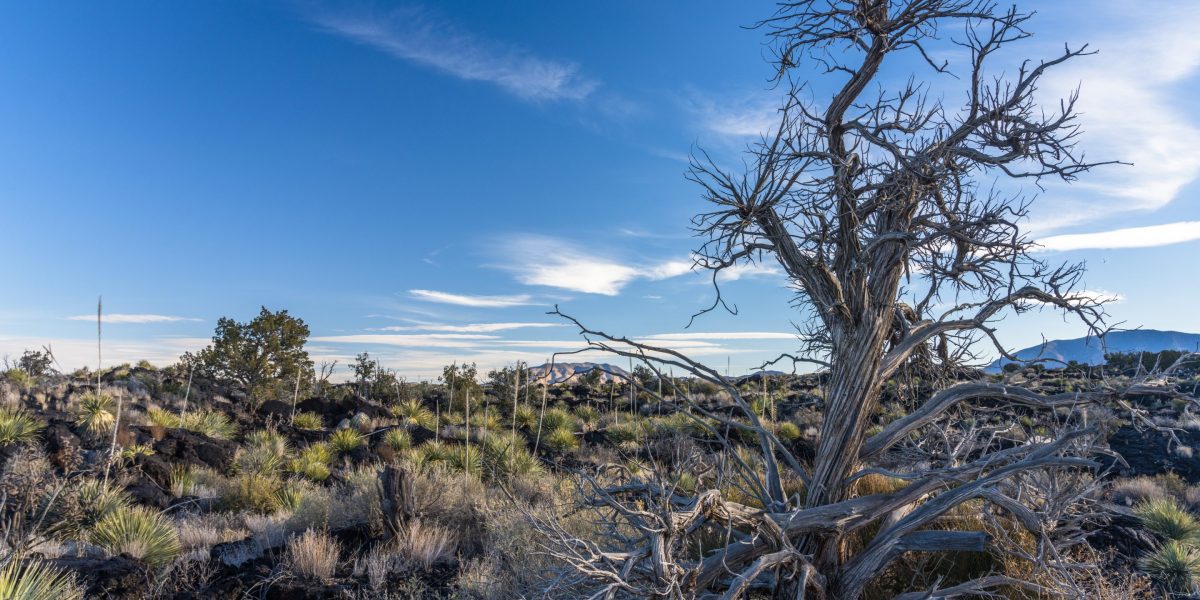AI data center plan tests New Mexico’s strained water supply
