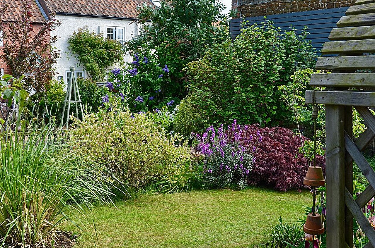Domestic gardens air quality benefits lack direct evidence, review finds