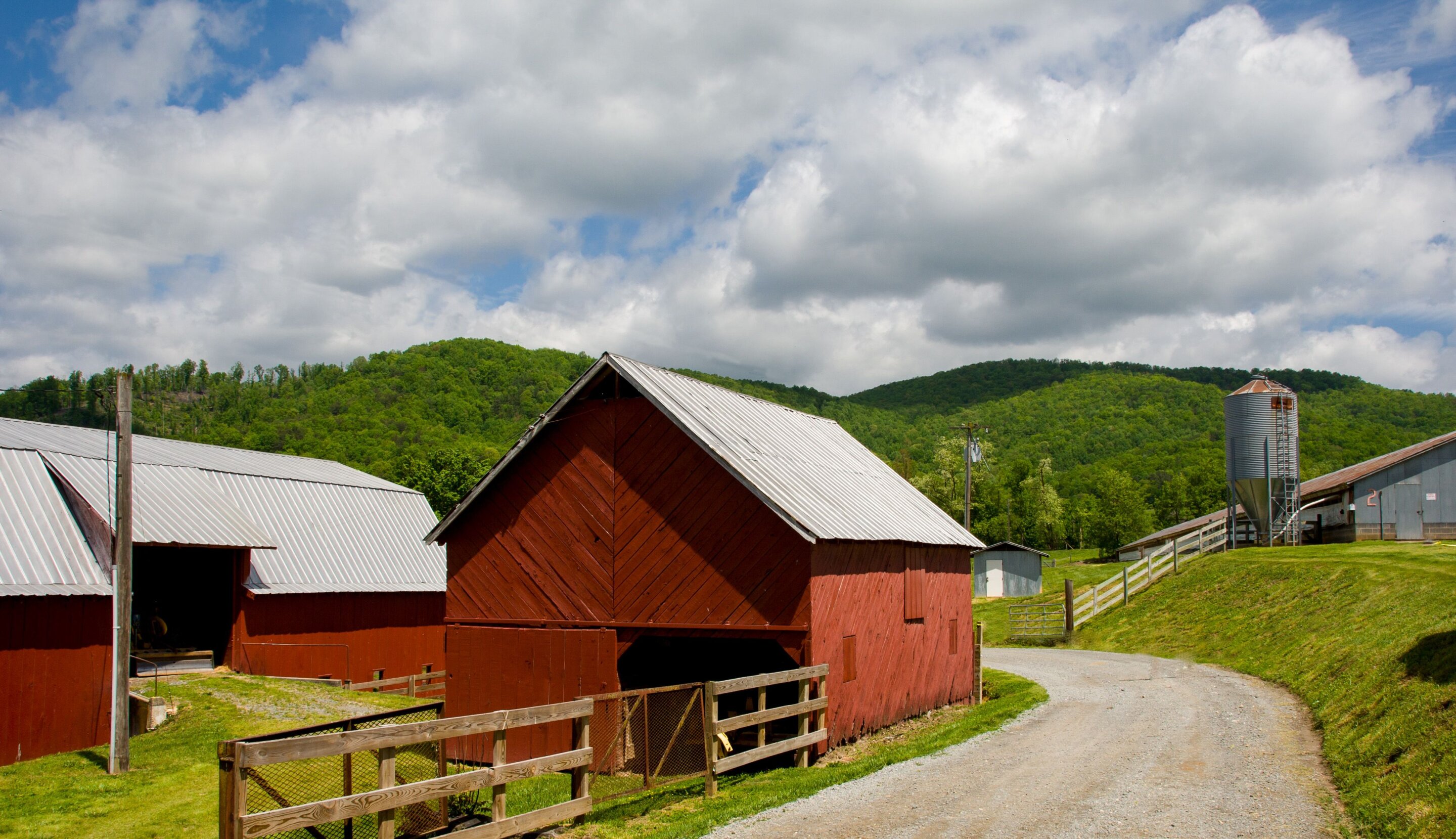 Farm effect bacteria tied to lower childhood asthma risk in study